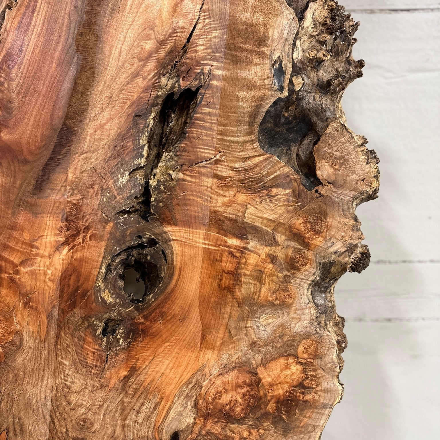 LiveEdge Big Leaf Maple | Big Leaf Maple | Hamilton Lee Supply