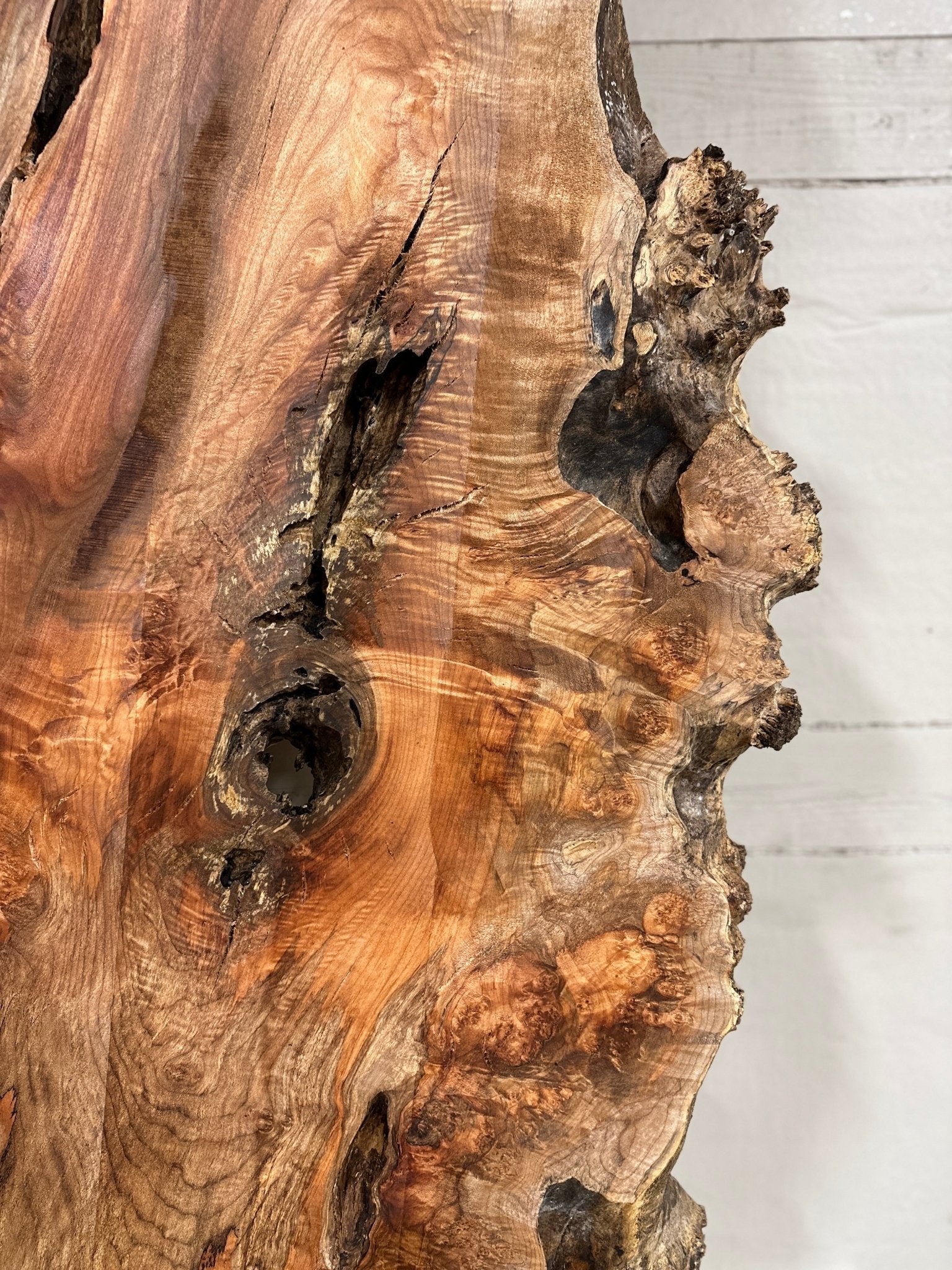 LiveEdge Big Leaf Maple | Big Leaf Maple | Hamilton Lee Supply