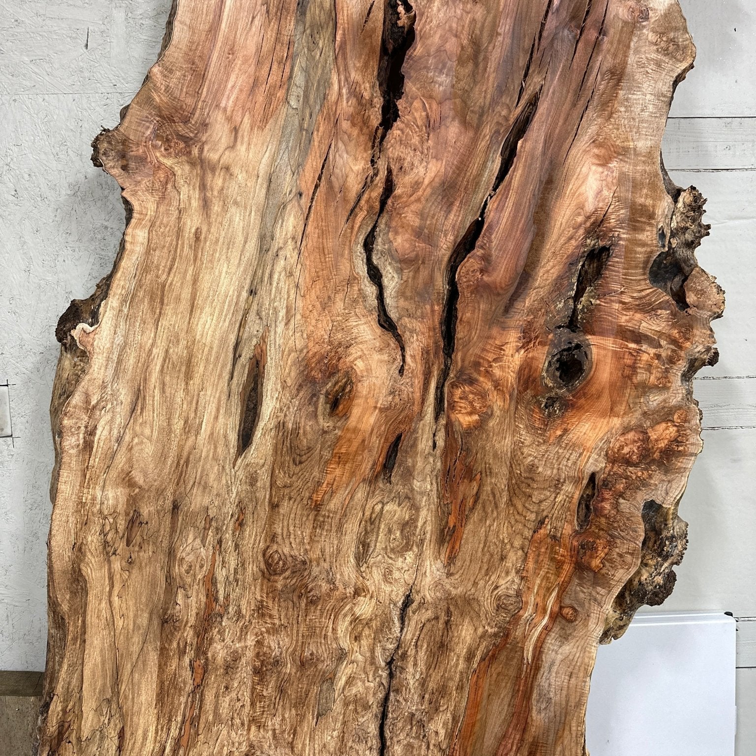 LiveEdge Big Leaf Maple | Big Leaf Maple | Hamilton Lee Supply