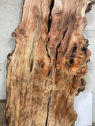 LiveEdge Big Leaf Maple | Big Leaf Maple | Hamilton Lee Supply