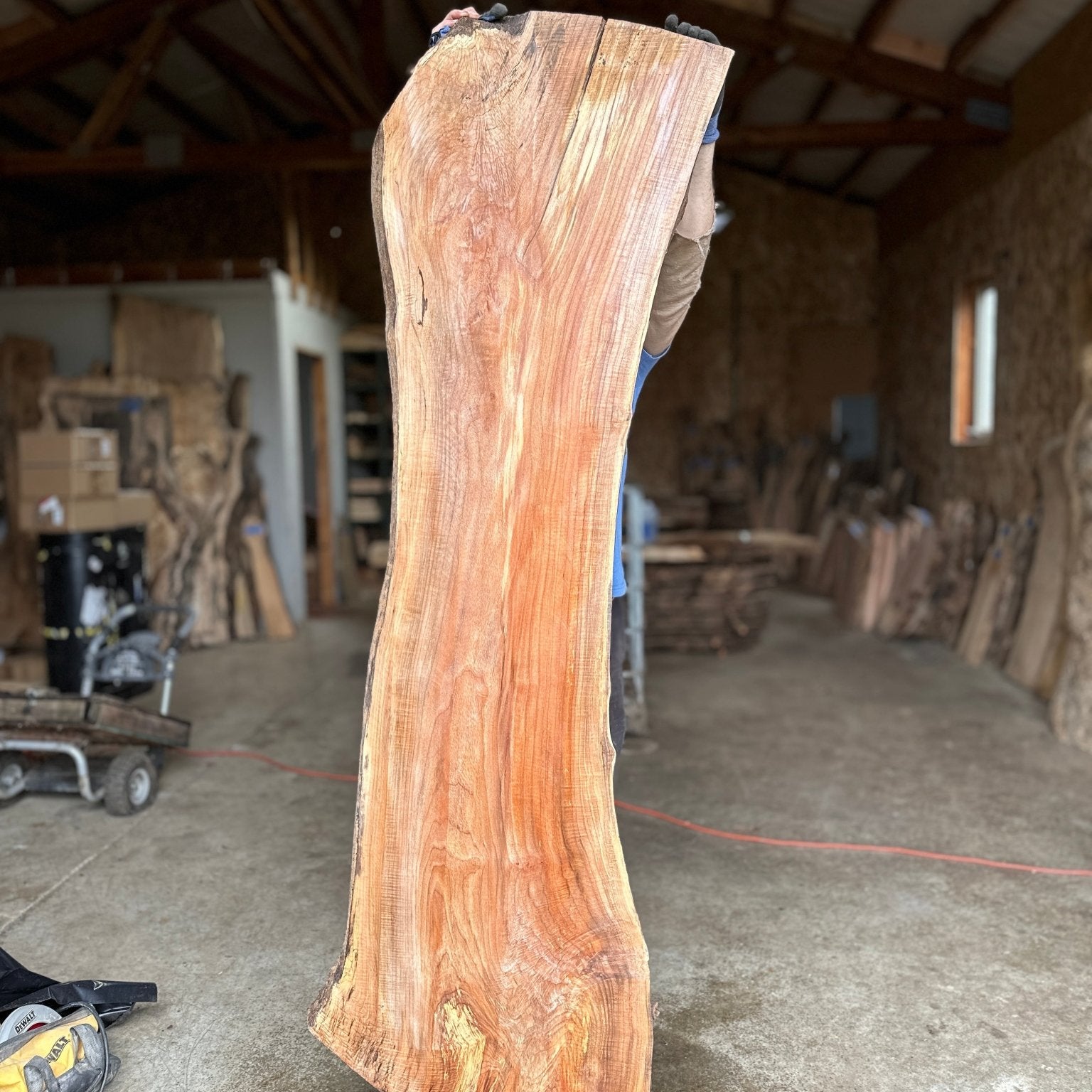 LiveEdge Big Leaf Maple | Big Leaf Maple | Hamilton Lee Supply