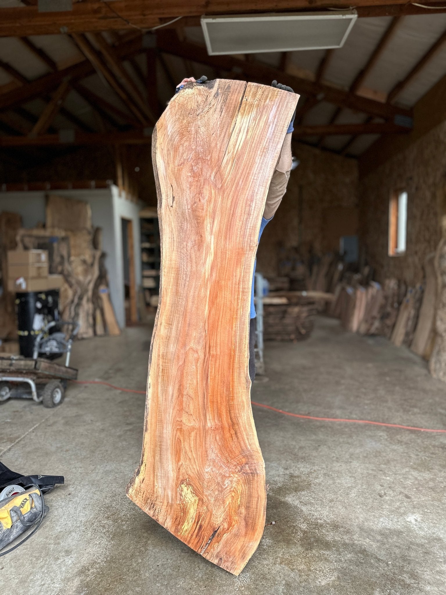 LiveEdge Big Leaf Maple | Big Leaf Maple | Hamilton Lee Supply