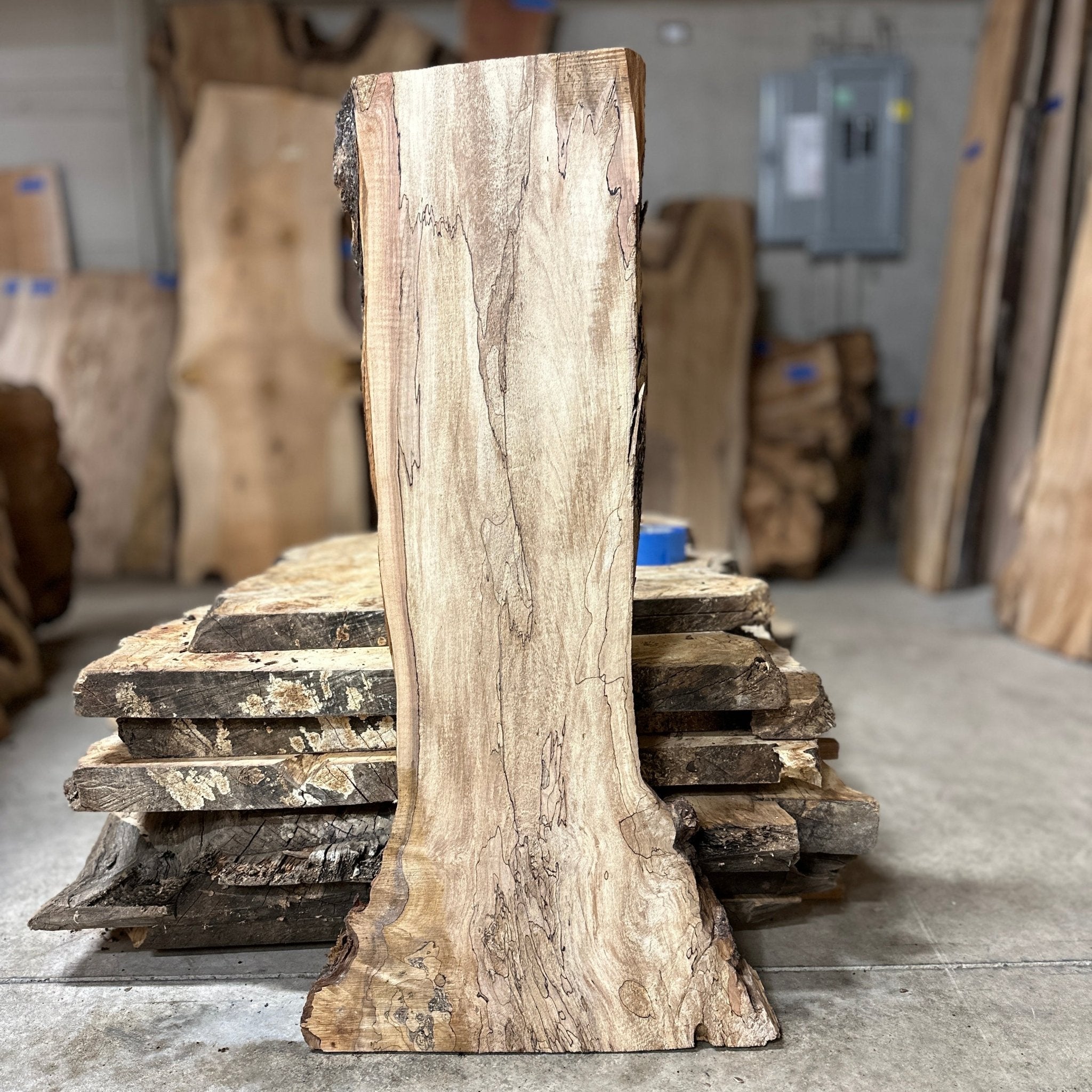 LiveEdge Big Leaf Maple | Big Leaf Maple | Hamilton Lee Supply