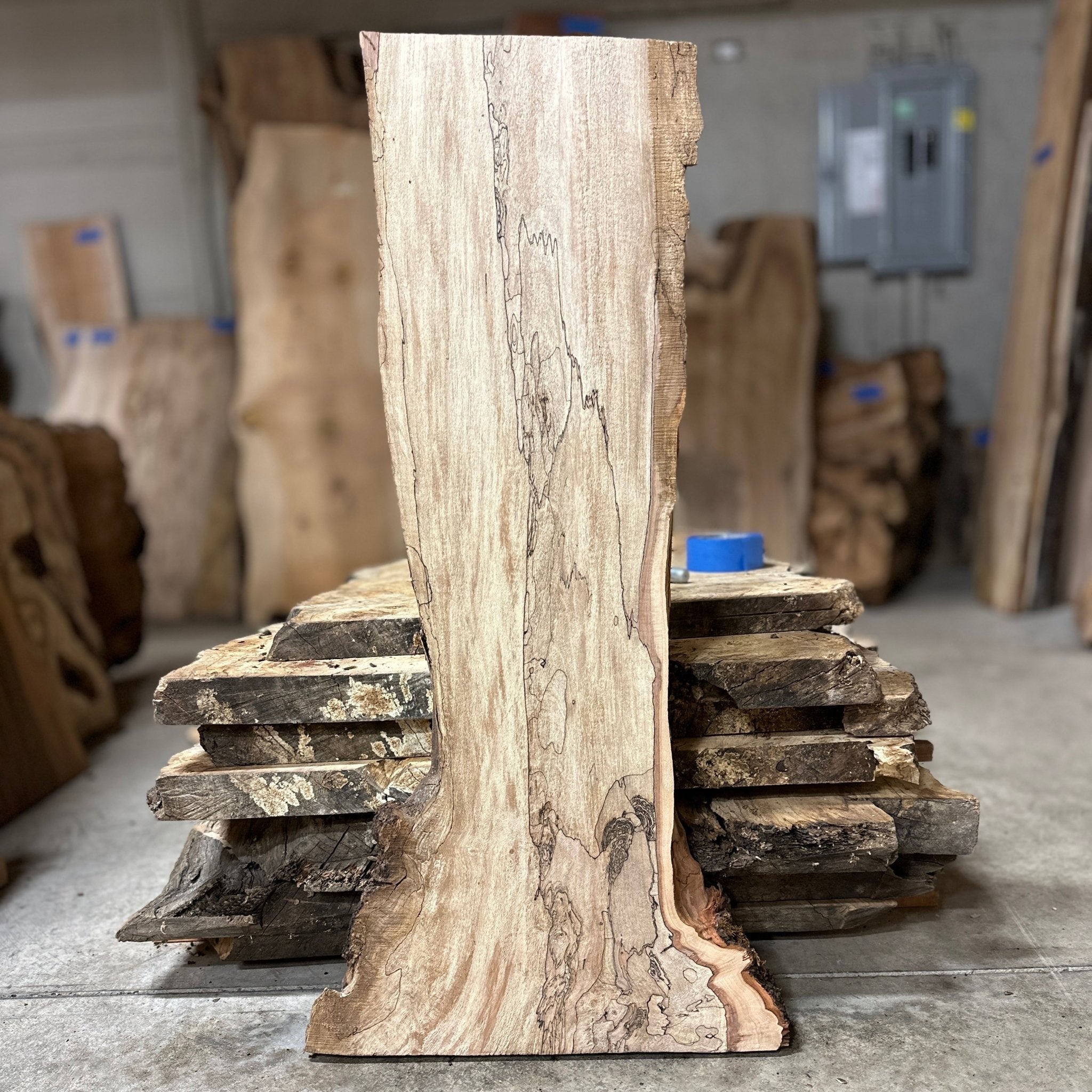 LiveEdge Big Leaf Maple | Big Leaf Maple | Hamilton Lee Supply