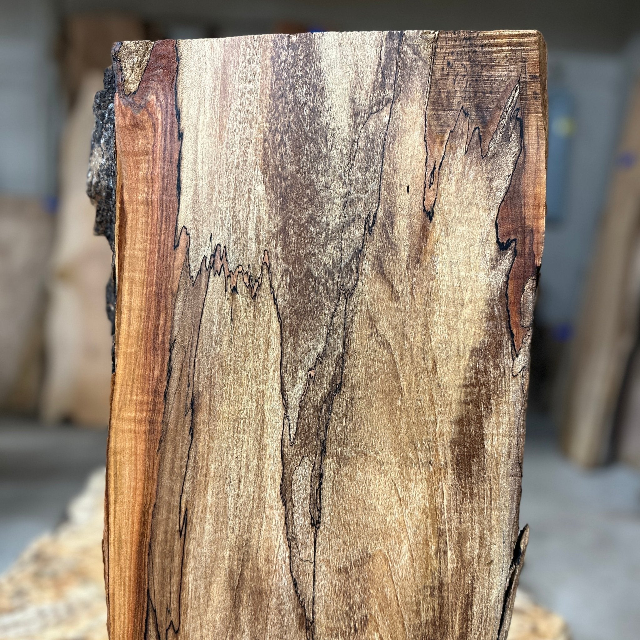 LiveEdge Big Leaf Maple | Big Leaf Maple | Hamilton Lee Supply