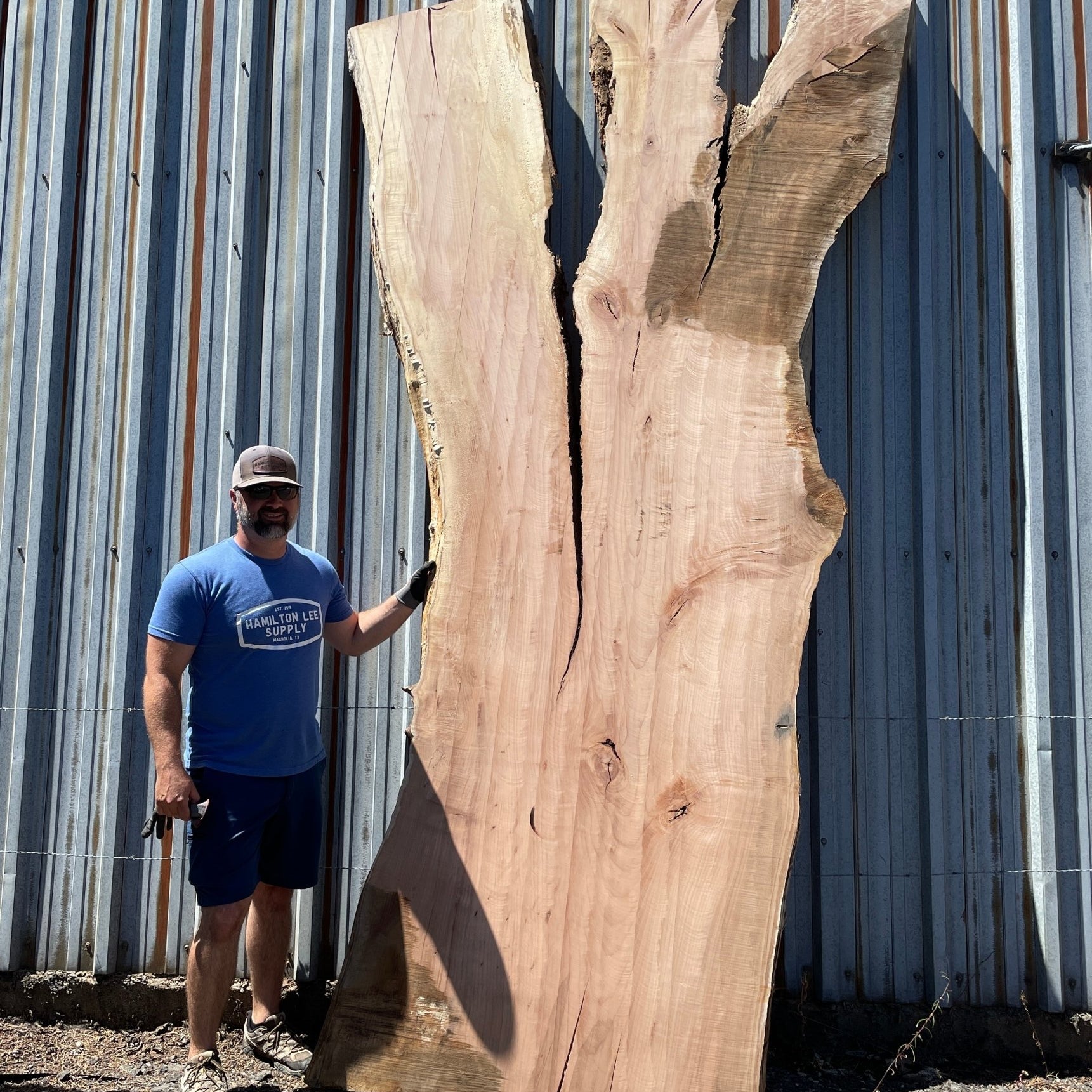 LiveEdge Big Leaf Maple | Big Leaf Maple | Hamilton Lee Supply