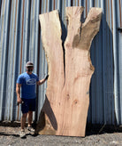 LiveEdge Big Leaf Maple | Big Leaf Maple | Hamilton Lee Supply
