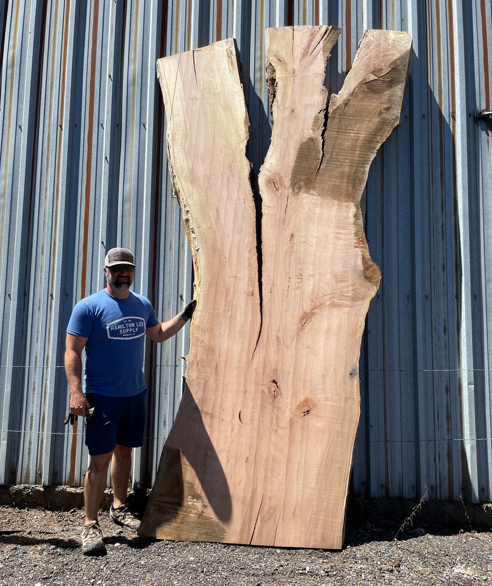 LiveEdge Big Leaf Maple | Big Leaf Maple | Hamilton Lee Supply