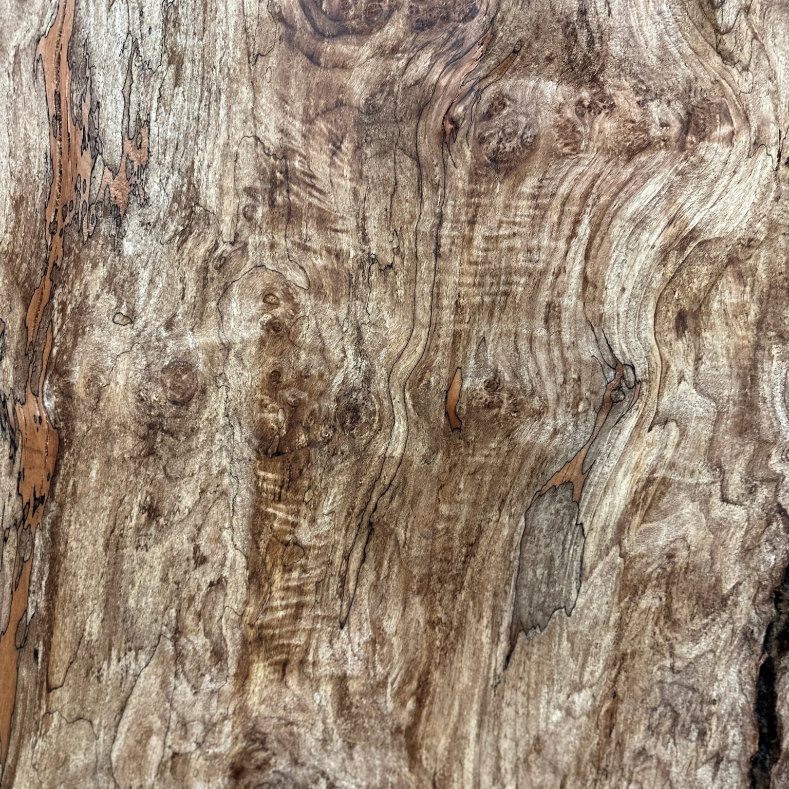 LiveEdge Big Leaf Maple | Big Leaf Maple | Hamilton Lee Supply