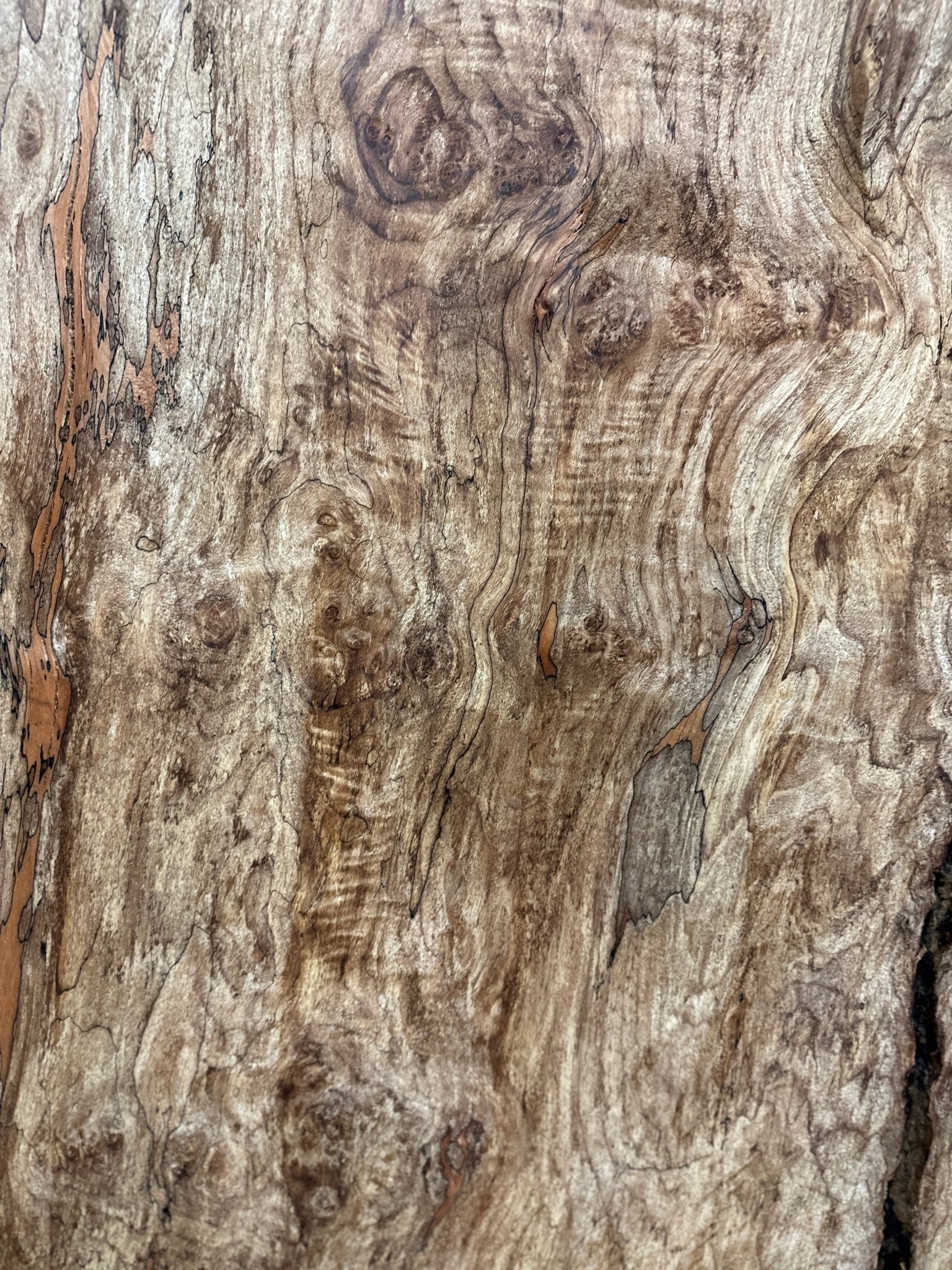 LiveEdge Big Leaf Maple | Big Leaf Maple | Hamilton Lee Supply