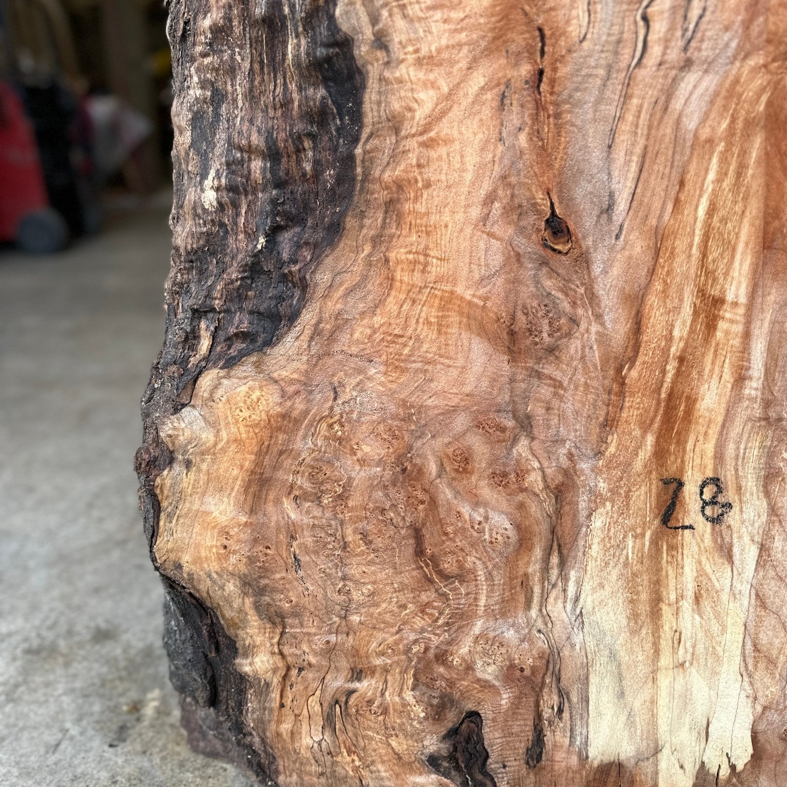 LiveEdge Big Leaf Maple | Big Leaf Maple | Hamilton Lee Supply
