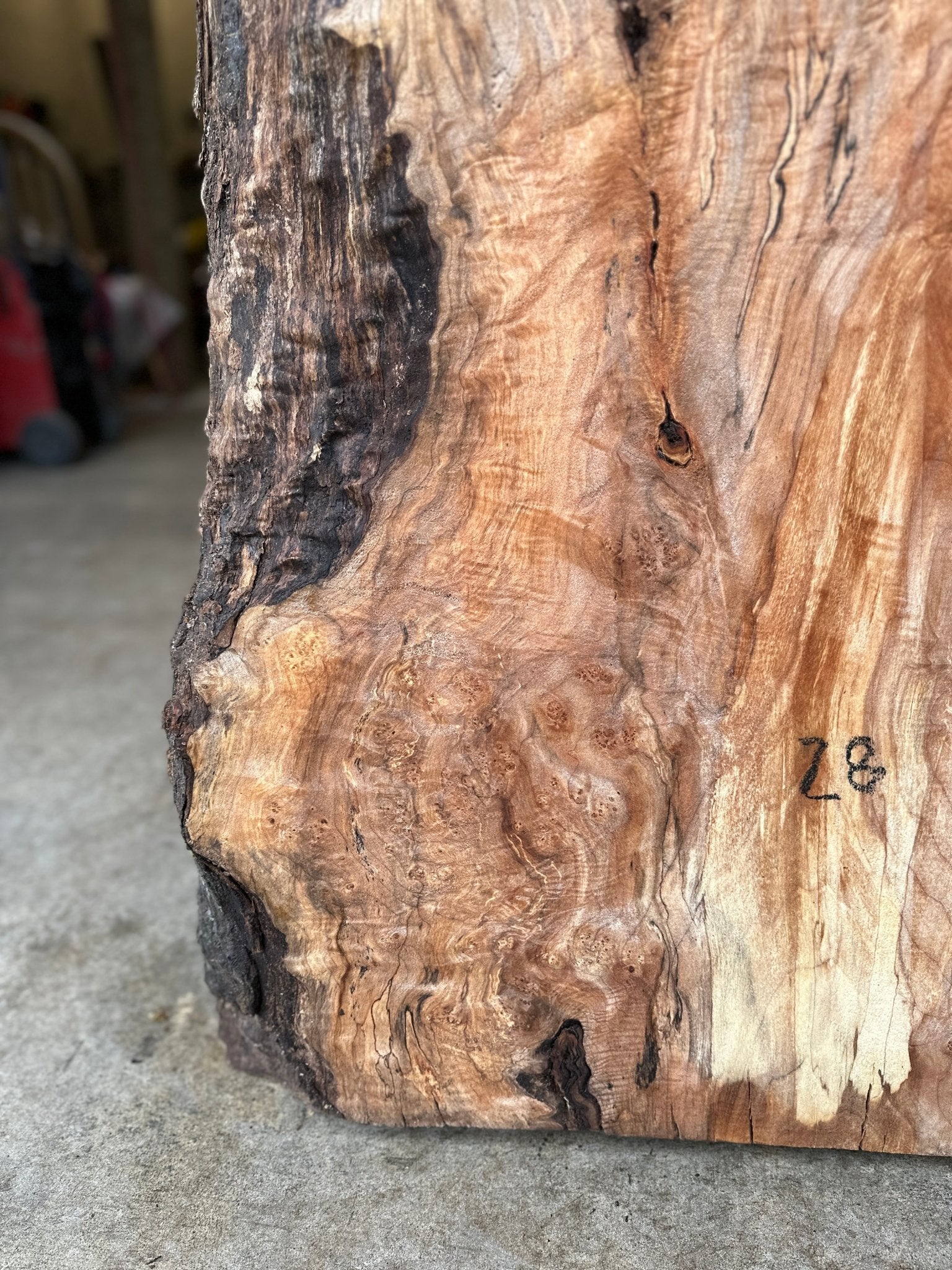 LiveEdge Big Leaf Maple | Big Leaf Maple | Hamilton Lee Supply