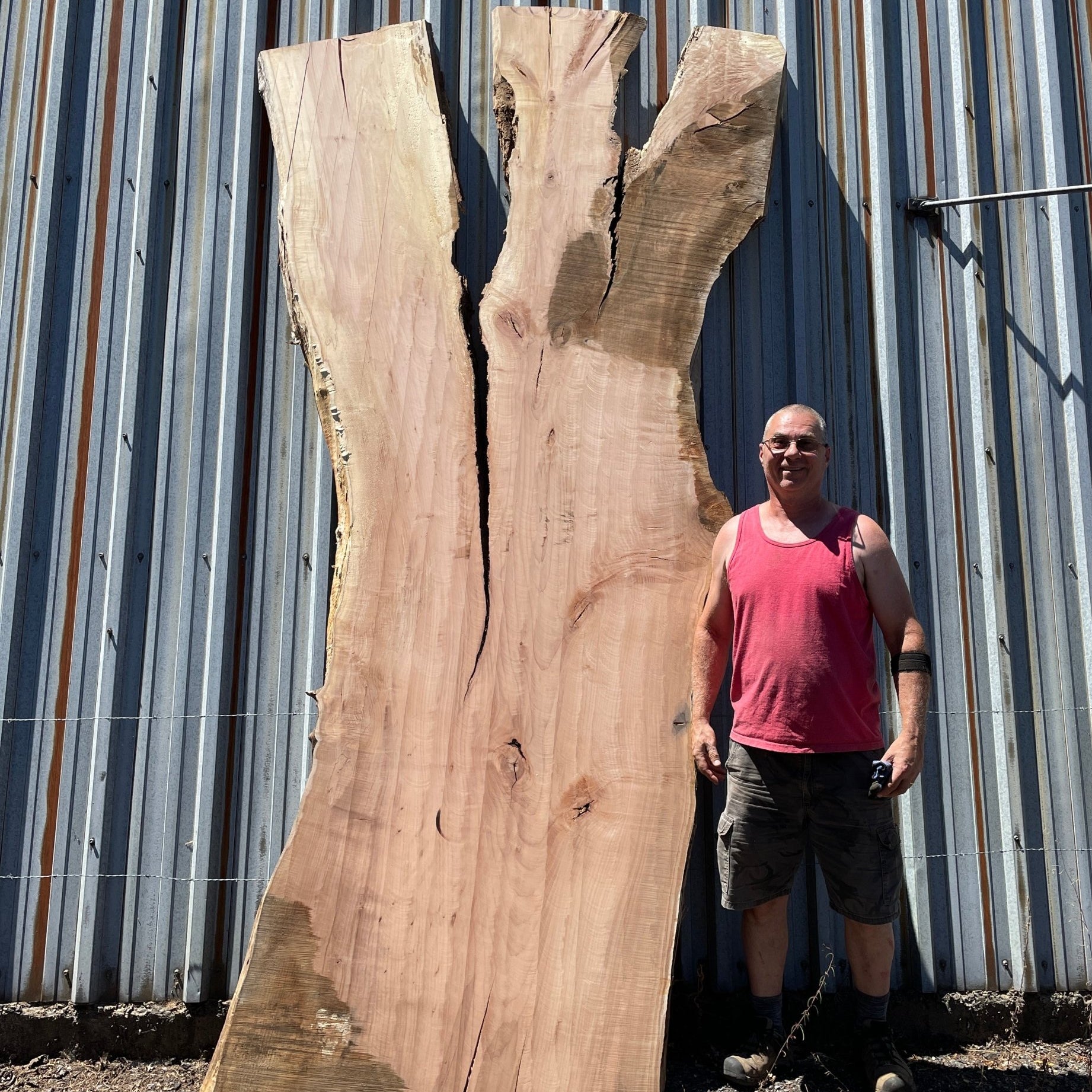 LiveEdge Big Leaf Maple | Big Leaf Maple | Hamilton Lee Supply
