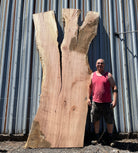LiveEdge Big Leaf Maple | Big Leaf Maple | Hamilton Lee Supply