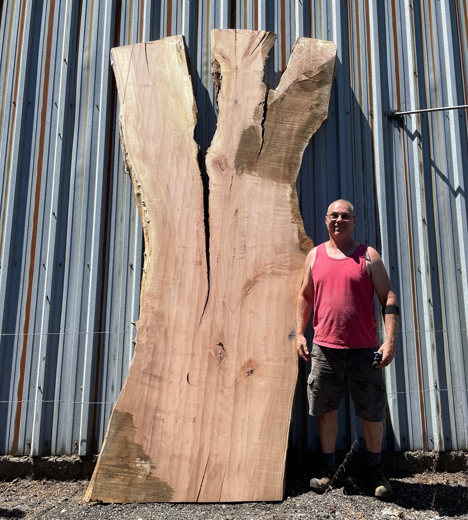 LiveEdge Big Leaf Maple | Big Leaf Maple | Hamilton Lee Supply