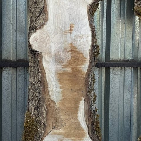 LiveEdge Big Leaf Maple | Big Leaf Maple | Hamilton Lee Supply