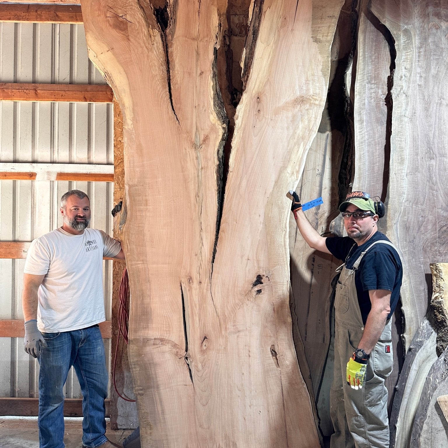 LiveEdge Big Leaf Maple | Big Leaf Maple | Hamilton Lee Supply