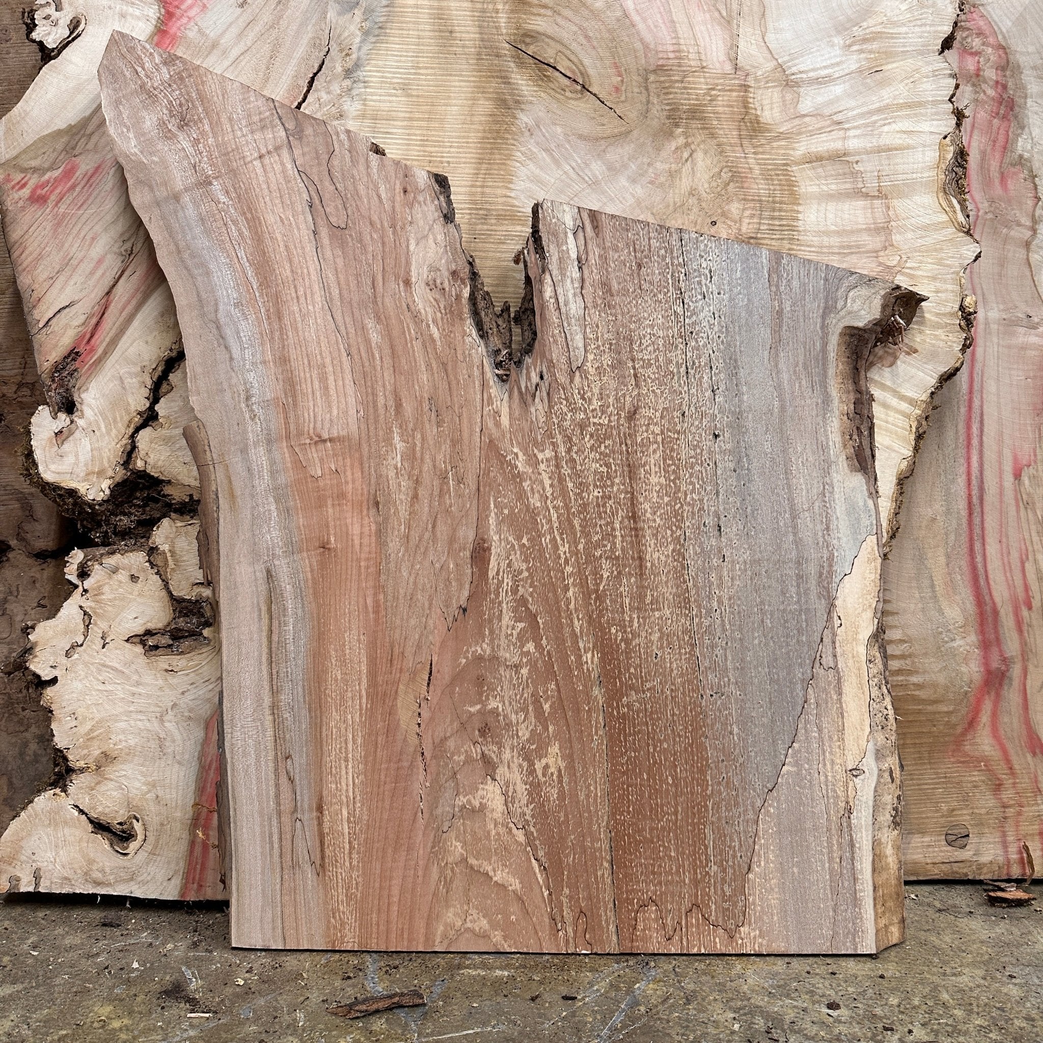 LiveEdge Big Leaf Maple | Big Leaf Maple | Hamilton Lee Supply