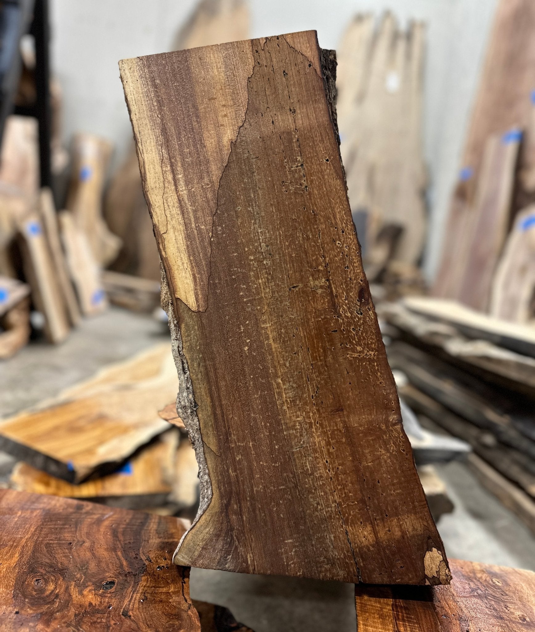 LiveEdge Big Leaf Maple | Big Leaf Maple | Hamilton Lee Supply