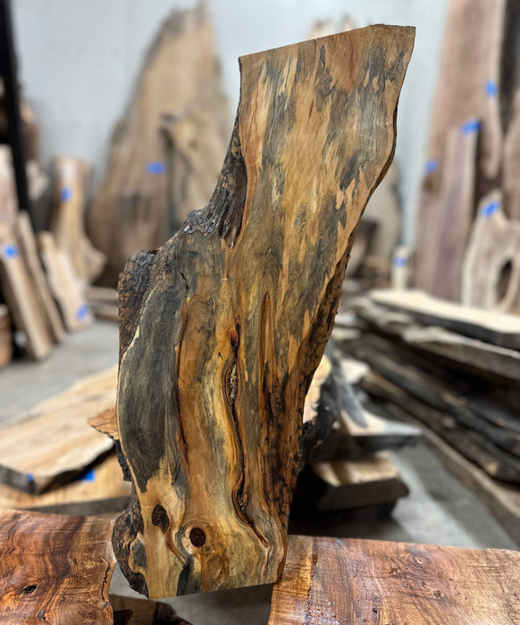 Hamilton Lee Supply | LiveEdge Big Leaf Maple | Big Leaf Maple | Hamilton Lee Supply
