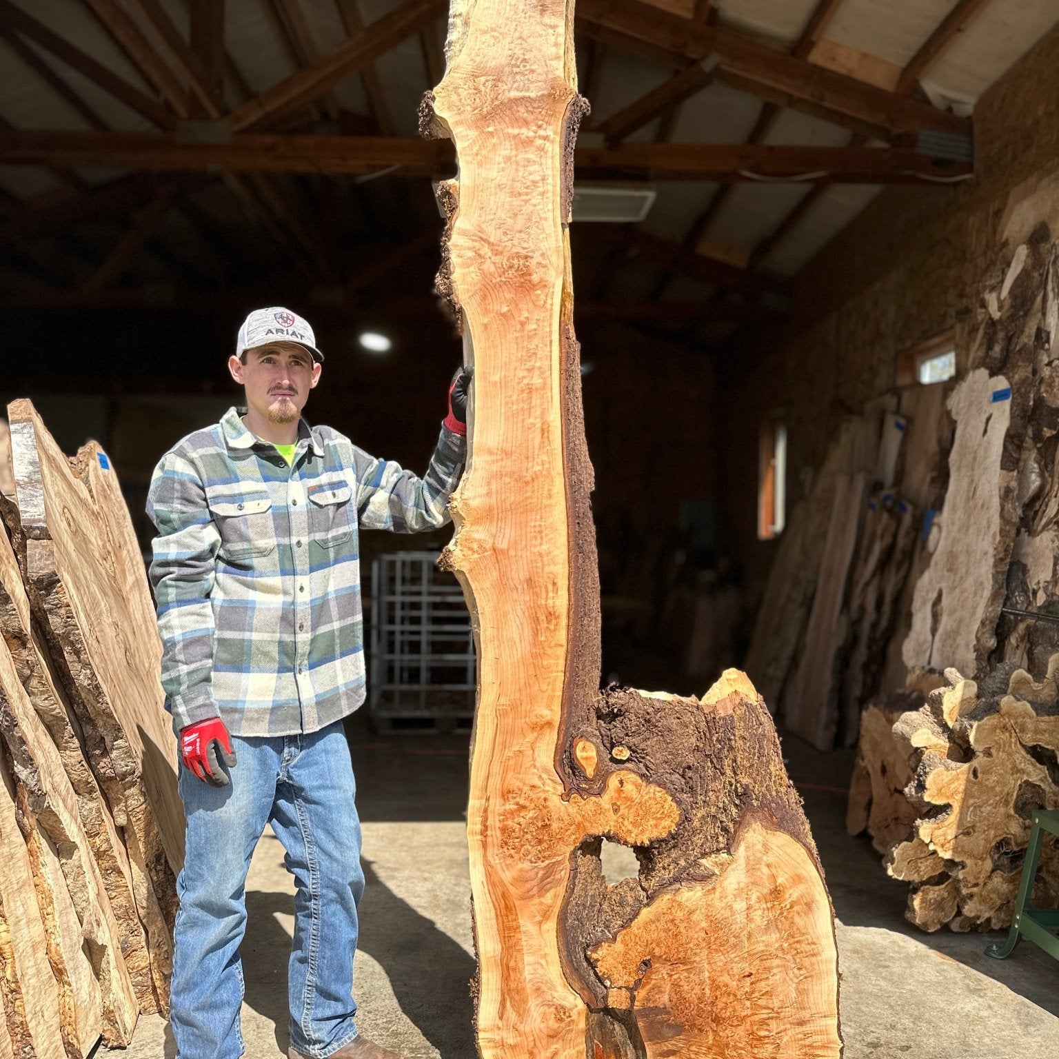 LiveEdge Big Leaf Maple | Big Leaf Maple | Hamilton Lee Supply