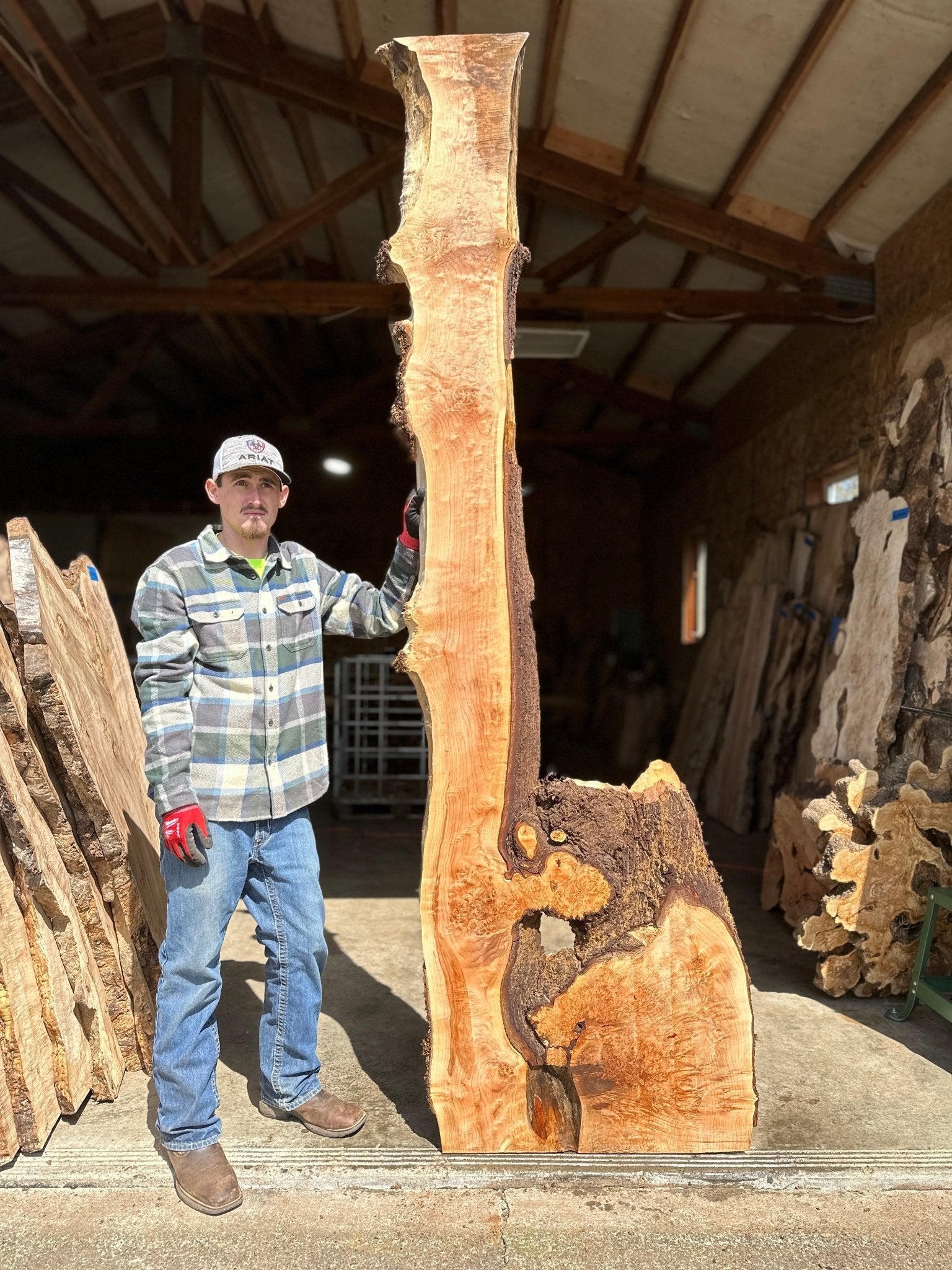 LiveEdge Big Leaf Maple | Big Leaf Maple | Hamilton Lee Supply