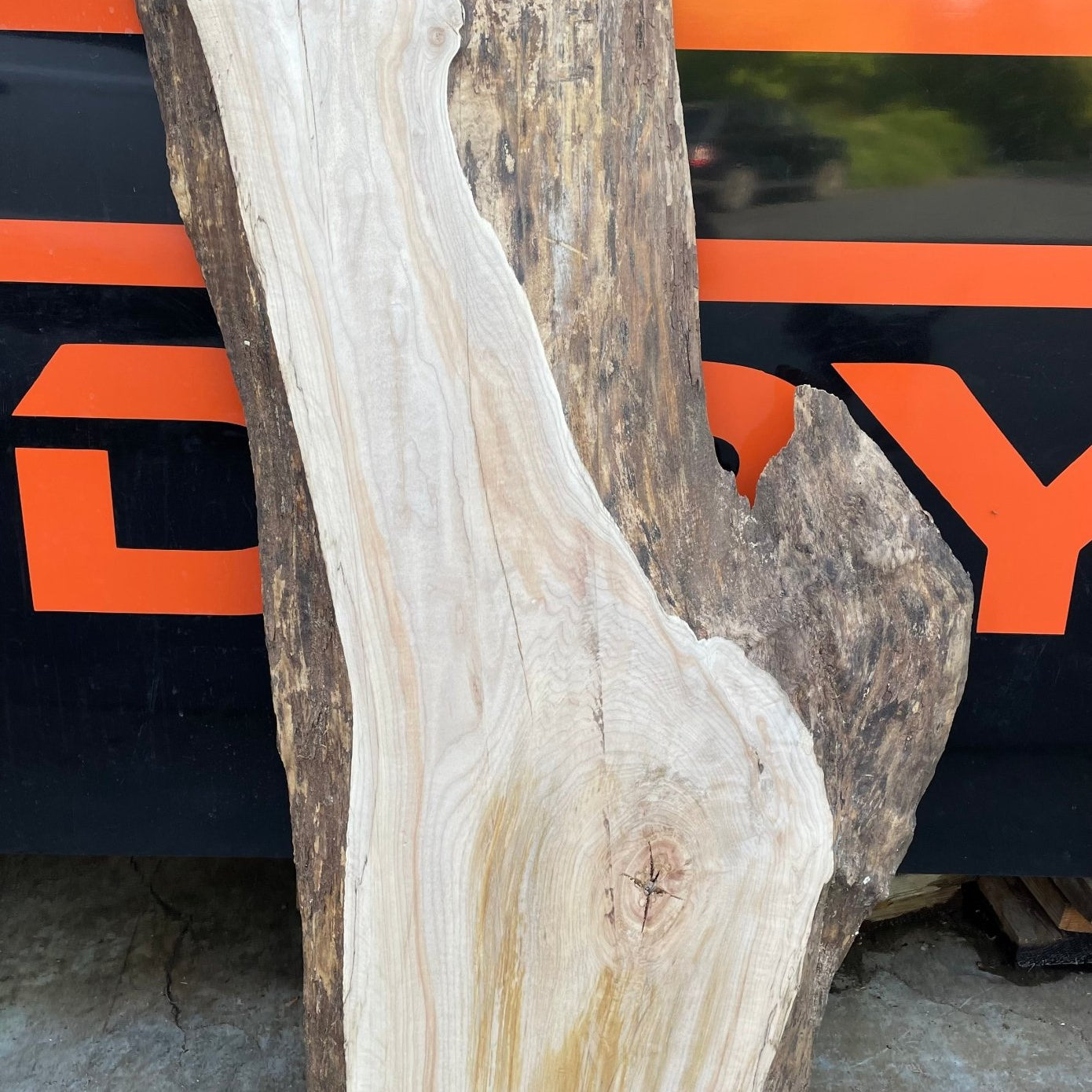 LiveEdge Big Leaf Maple | Craft Wood & Shapes | Hamilton Lee Supply