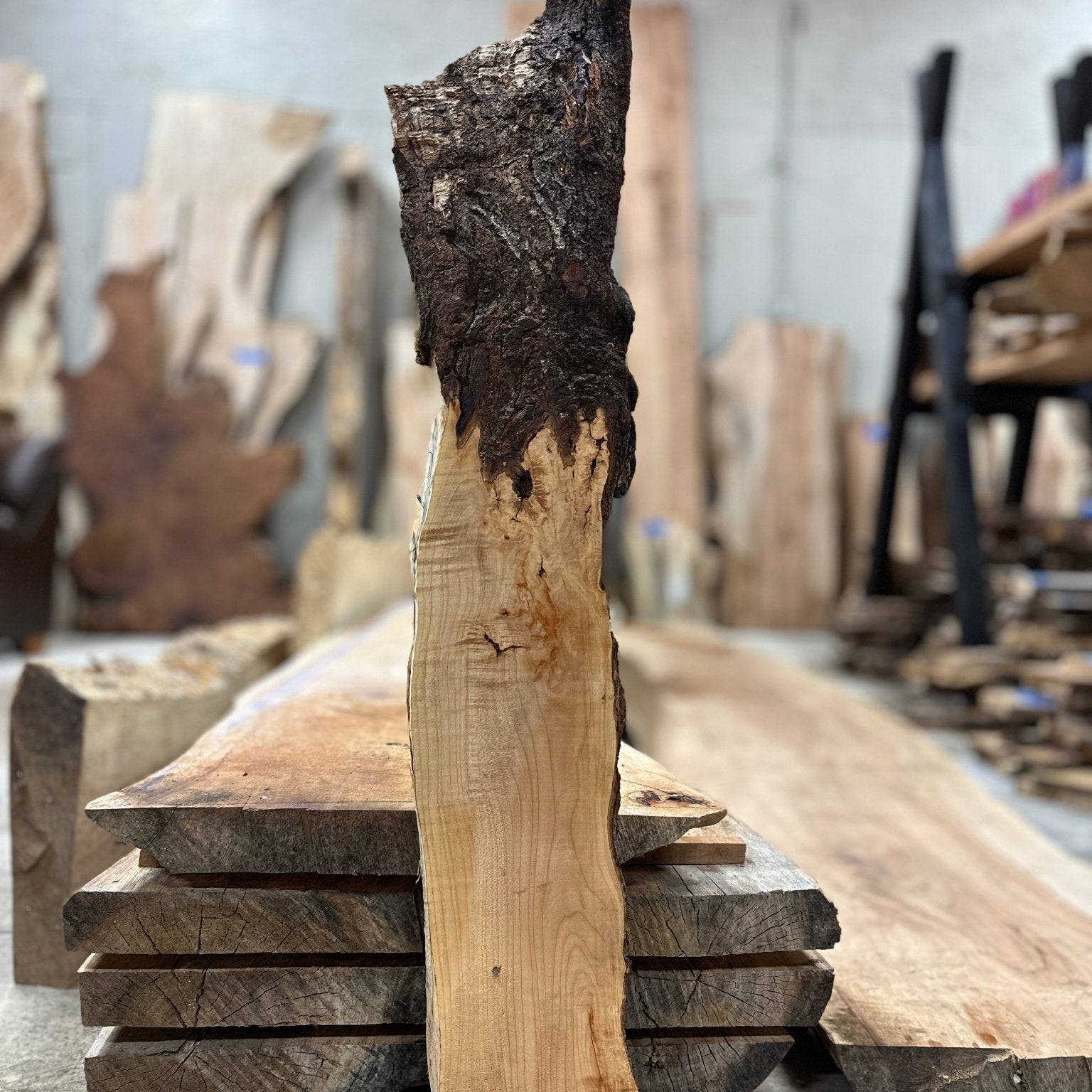 LiveEdge Big Leaf Maple | Big Leaf Maple | Hamilton Lee Supply