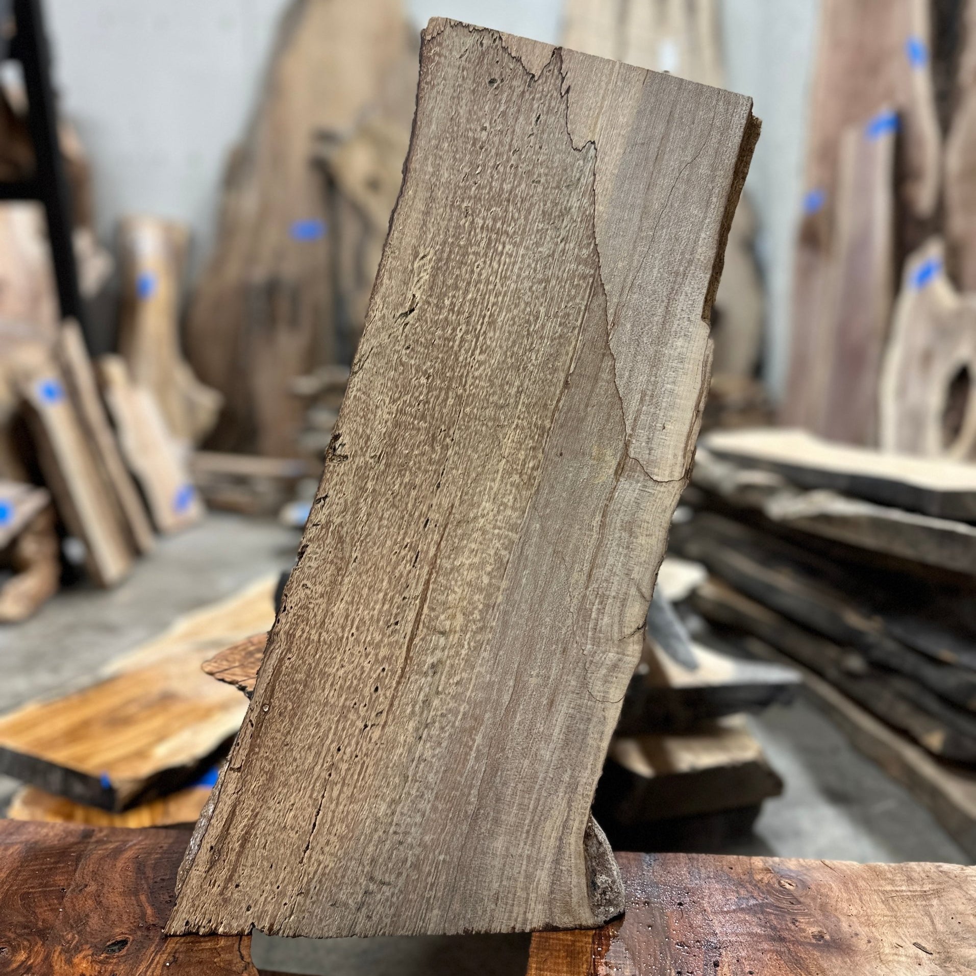 LiveEdge Big Leaf Maple | Big Leaf Maple | Hamilton Lee Supply