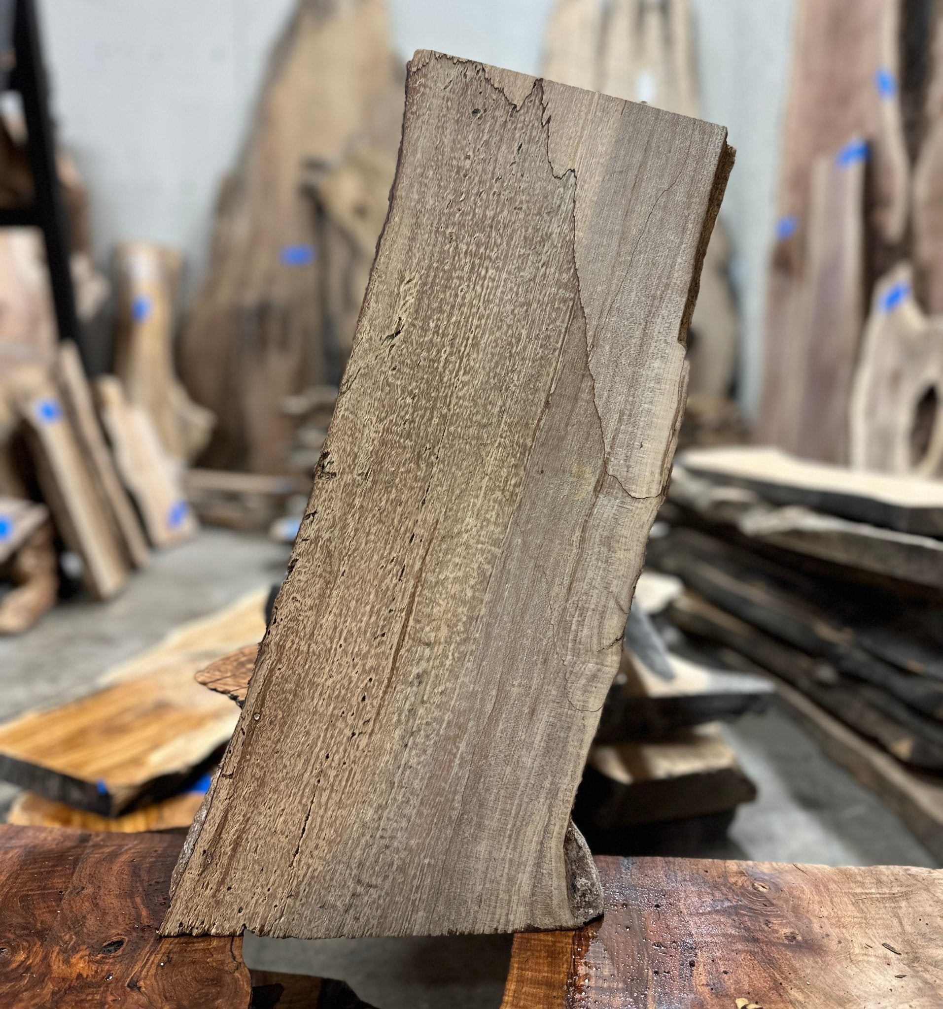 LiveEdge Big Leaf Maple | Big Leaf Maple | Hamilton Lee Supply