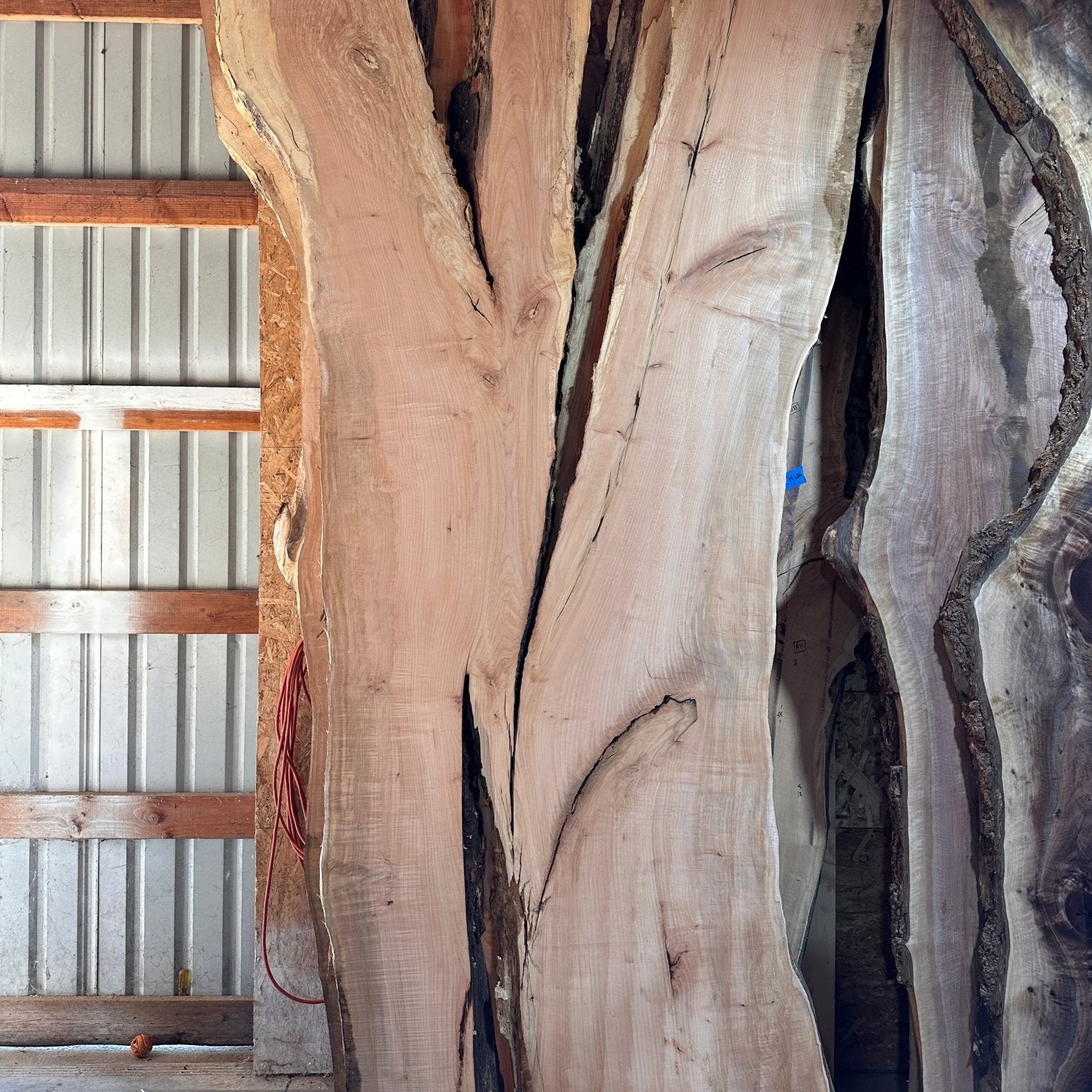 LiveEdge Big Leaf Maple | Big Leaf Maple | Hamilton Lee Supply
