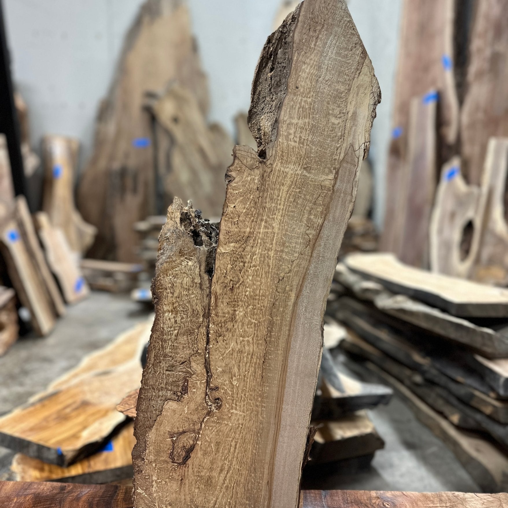 LiveEdge Big Leaf Maple | Big Leaf Maple | Hamilton Lee Supply
