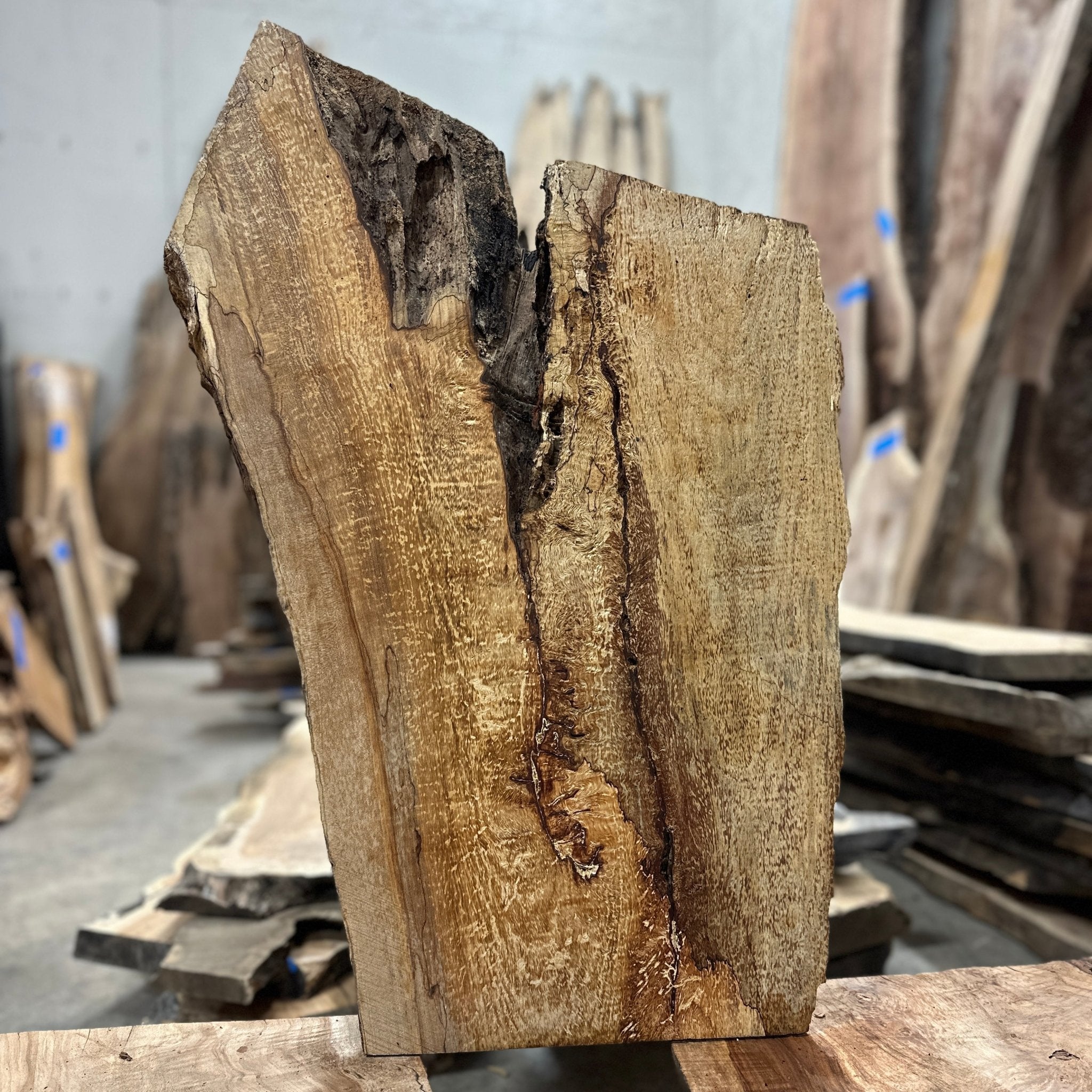 LiveEdge Big Leaf Maple | Big Leaf Maple | Hamilton Lee Supply
