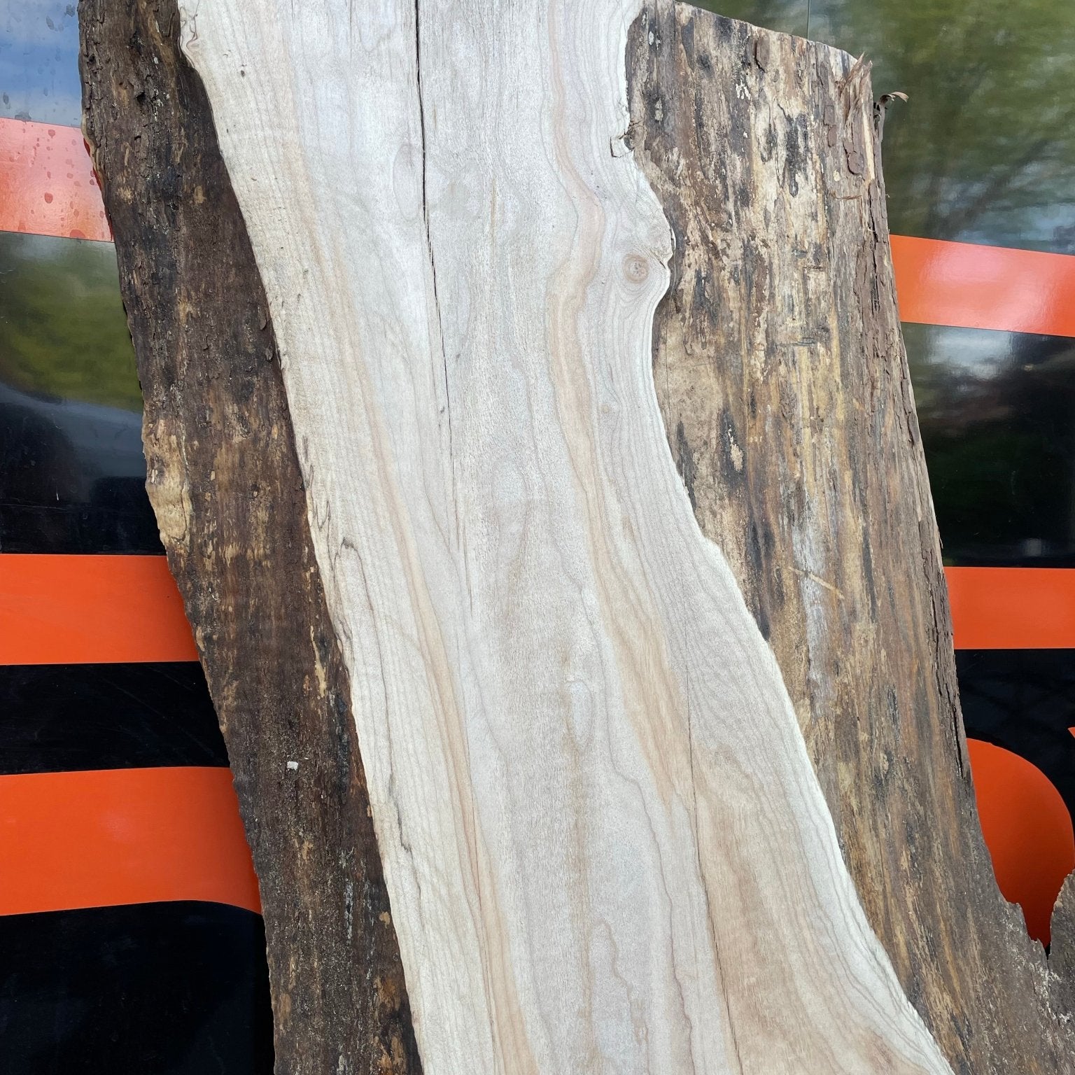 LiveEdge Big Leaf Maple | Craft Wood & Shapes | Hamilton Lee Supply