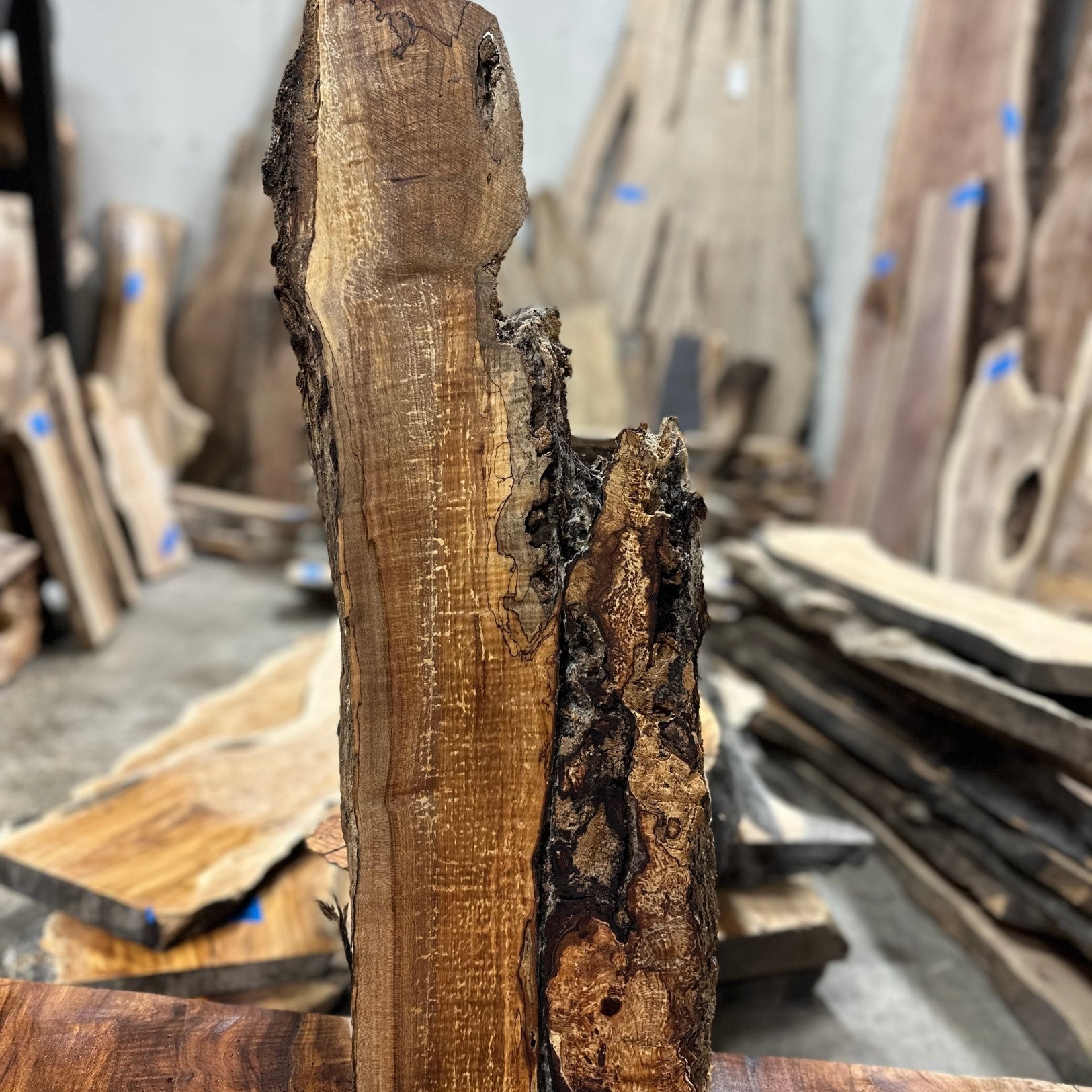 LiveEdge Big Leaf Maple | Big Leaf Maple | Hamilton Lee Supply