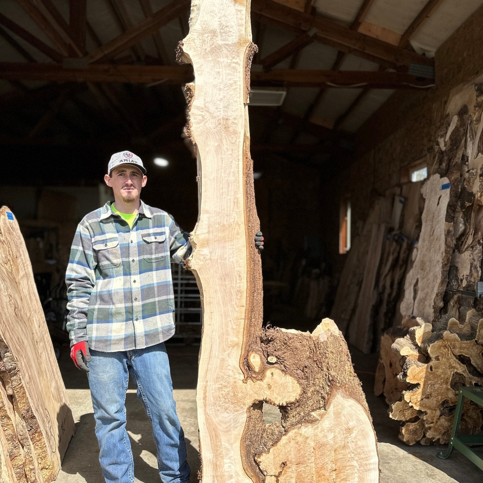 LiveEdge Big Leaf Maple | Big Leaf Maple | Hamilton Lee Supply