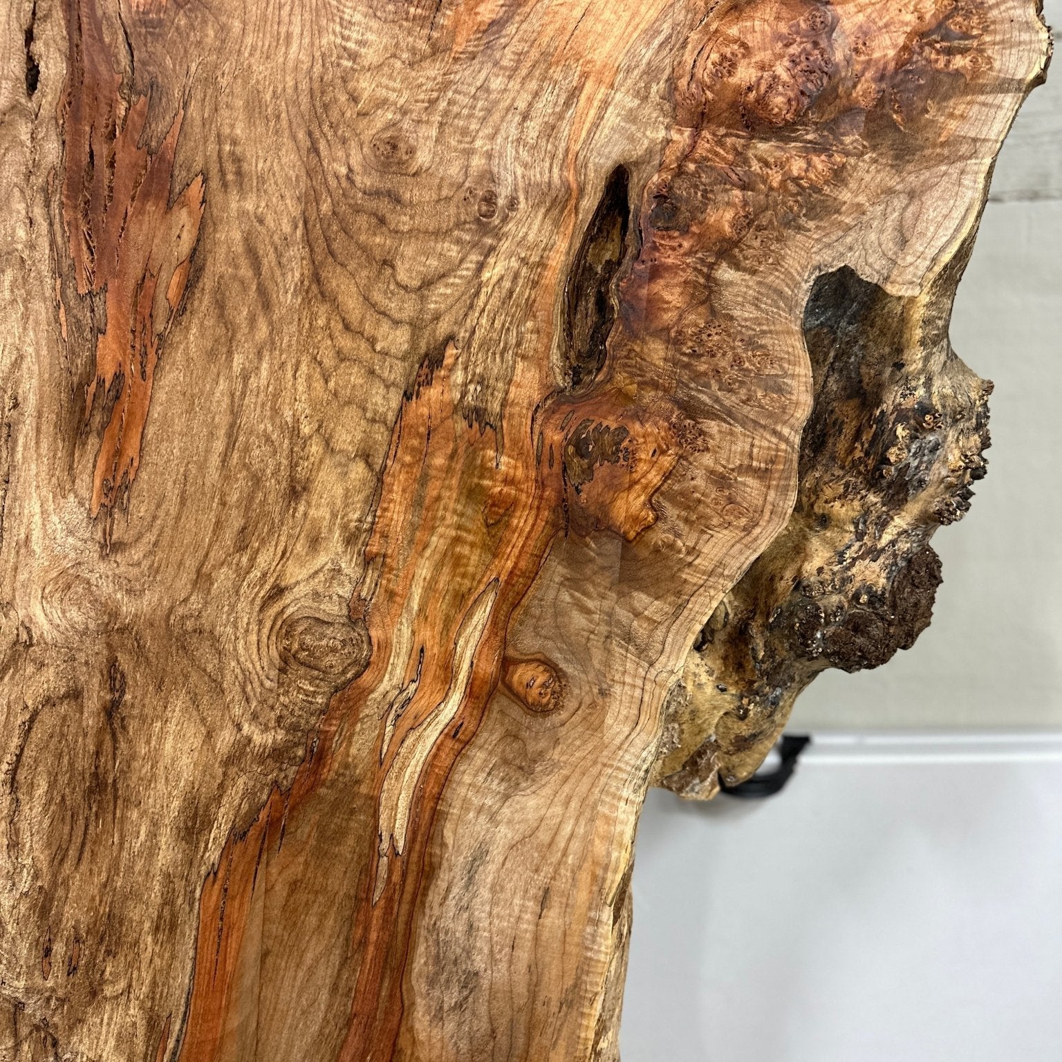 LiveEdge Big Leaf Maple | Big Leaf Maple | Hamilton Lee Supply