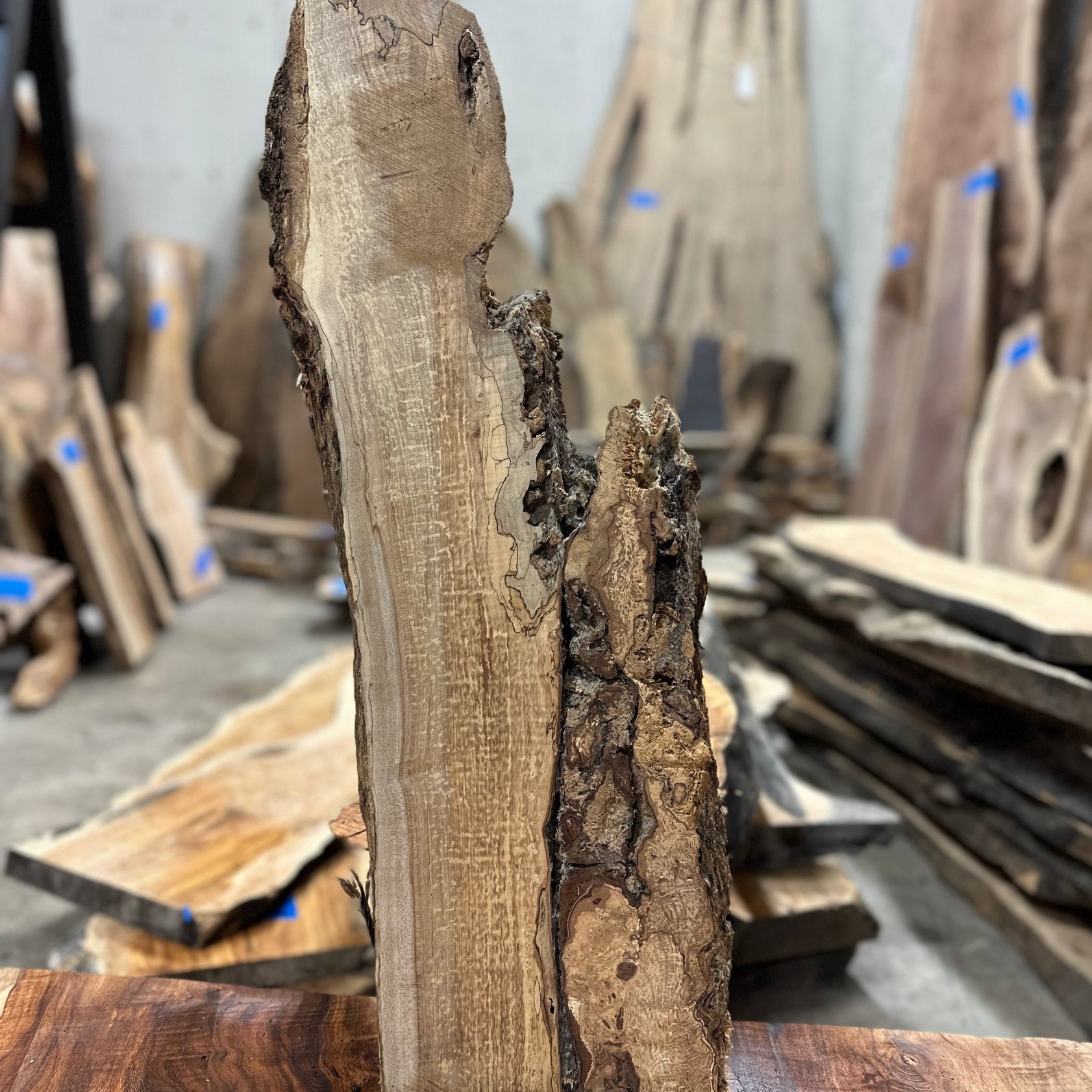 LiveEdge Big Leaf Maple | Big Leaf Maple | Hamilton Lee Supply