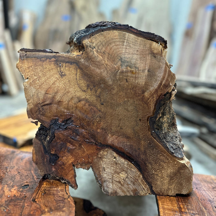Crazy Grain | LiveEdge Big Leaf Maple | Big Leaf Maple | Hamilton Lee Supply