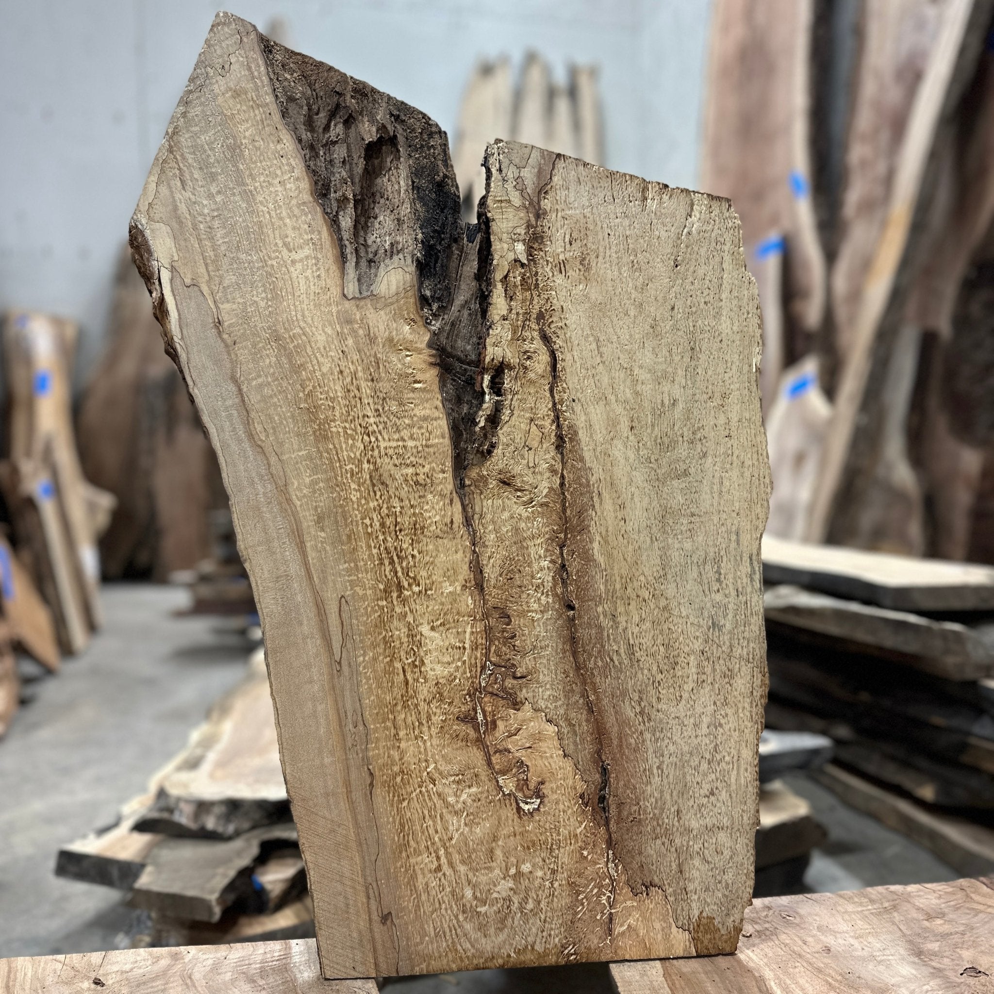 LiveEdge Big Leaf Maple | Big Leaf Maple | Hamilton Lee Supply