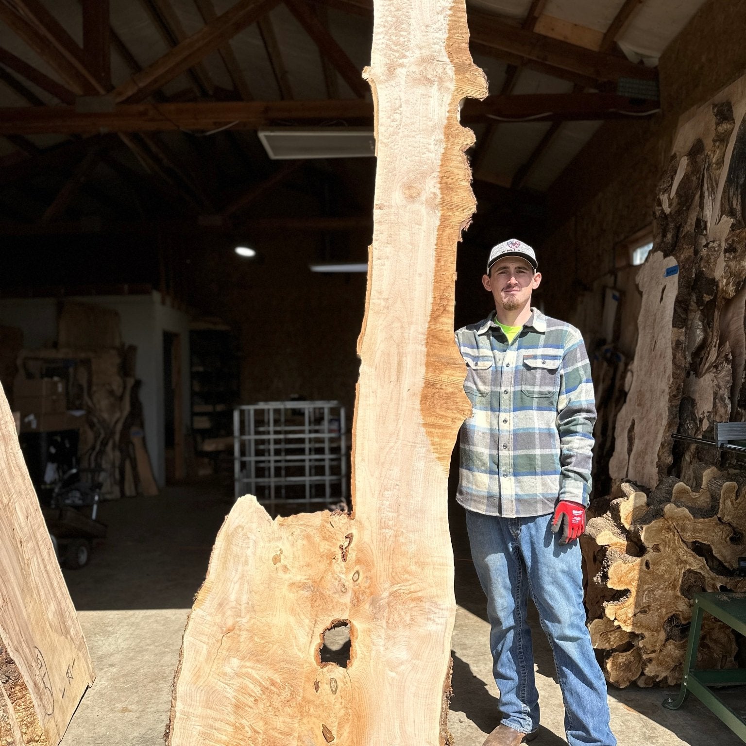 LiveEdge Big Leaf Maple | Big Leaf Maple | Hamilton Lee Supply