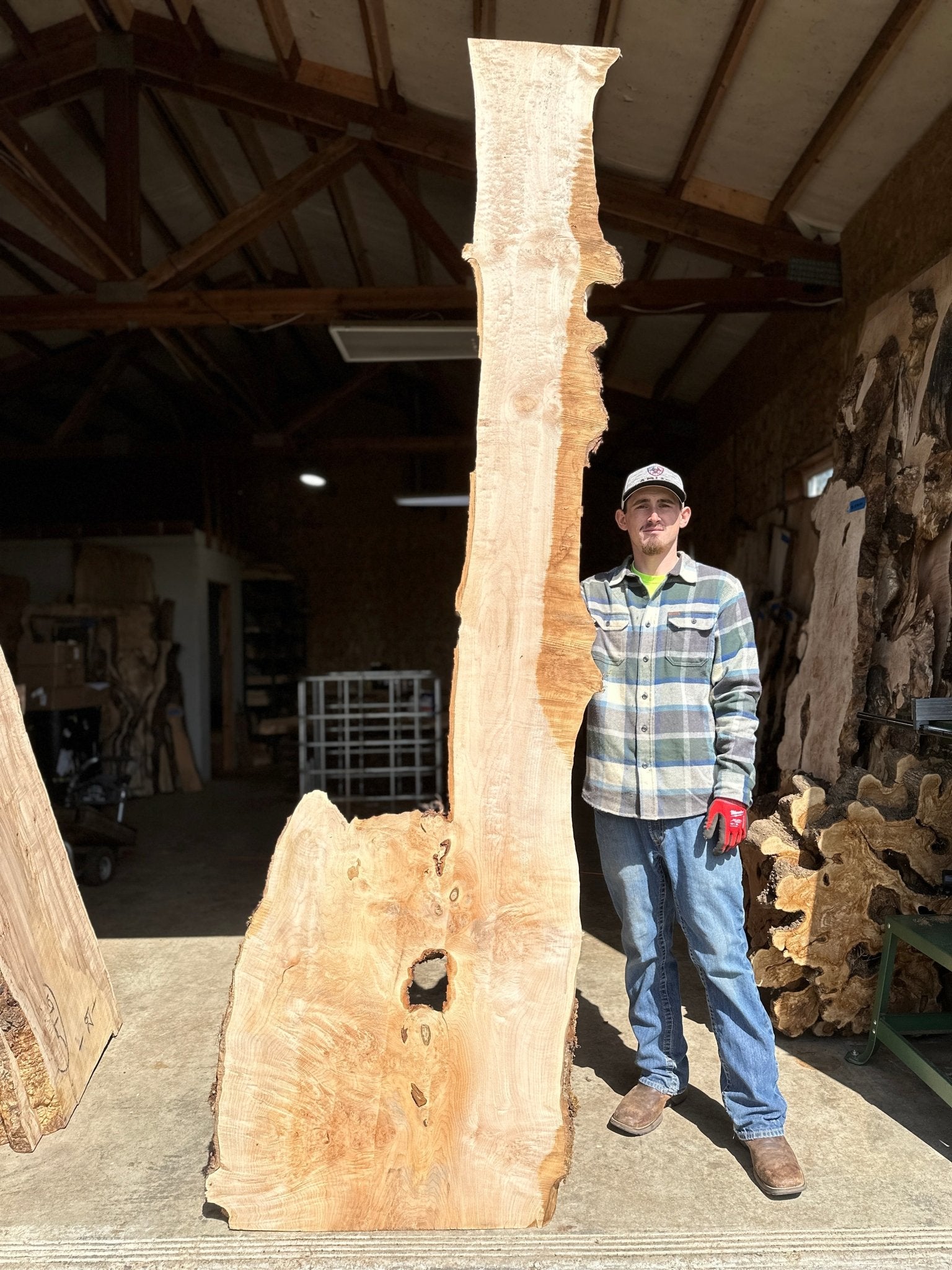 LiveEdge Big Leaf Maple | Big Leaf Maple | Hamilton Lee Supply