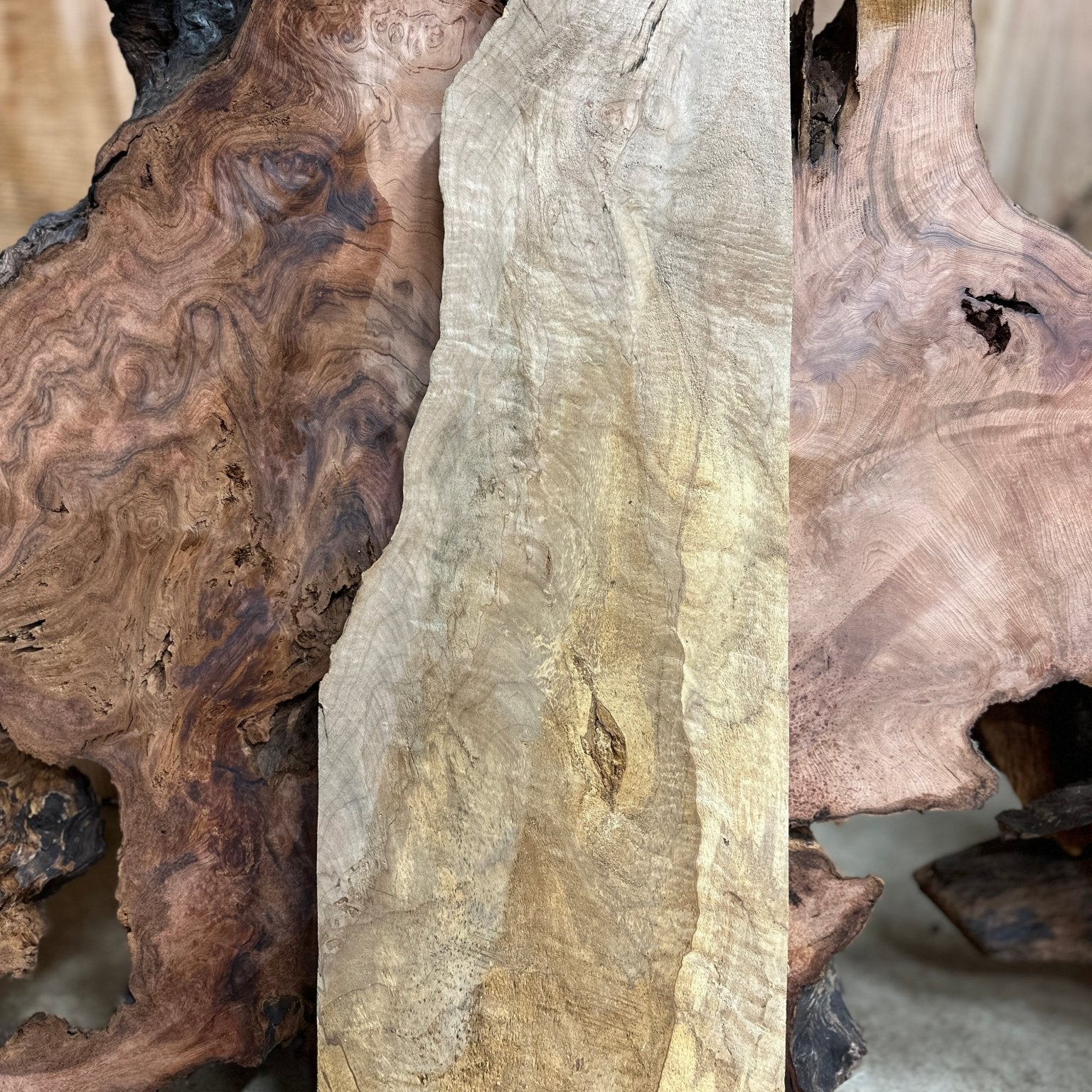 LiveEdge Big Leaf Maple | Big Leaf Maple | Hamilton Lee Supply
