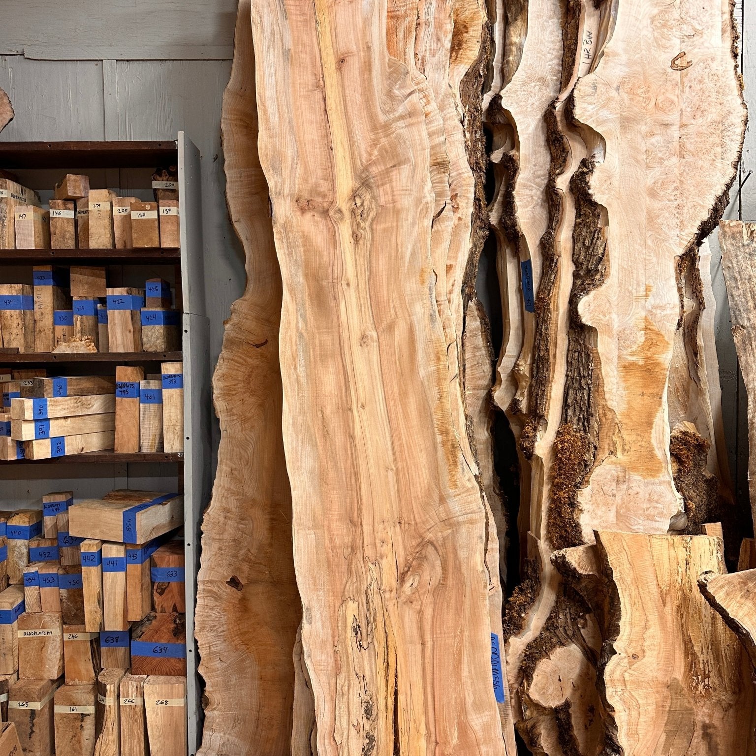 LiveEdge Big Leaf Maple | Big Leaf Maple | Hamilton Lee Supply