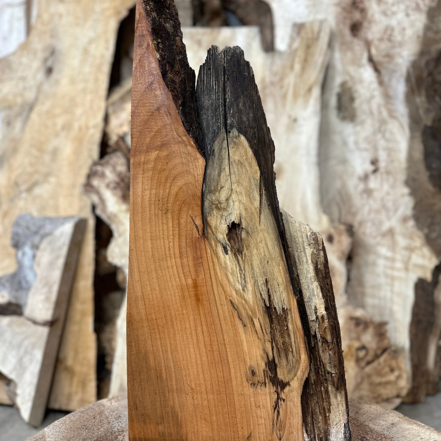 LiveEdge Big Leaf Maple | Big Leaf Maple | Hamilton Lee Supply