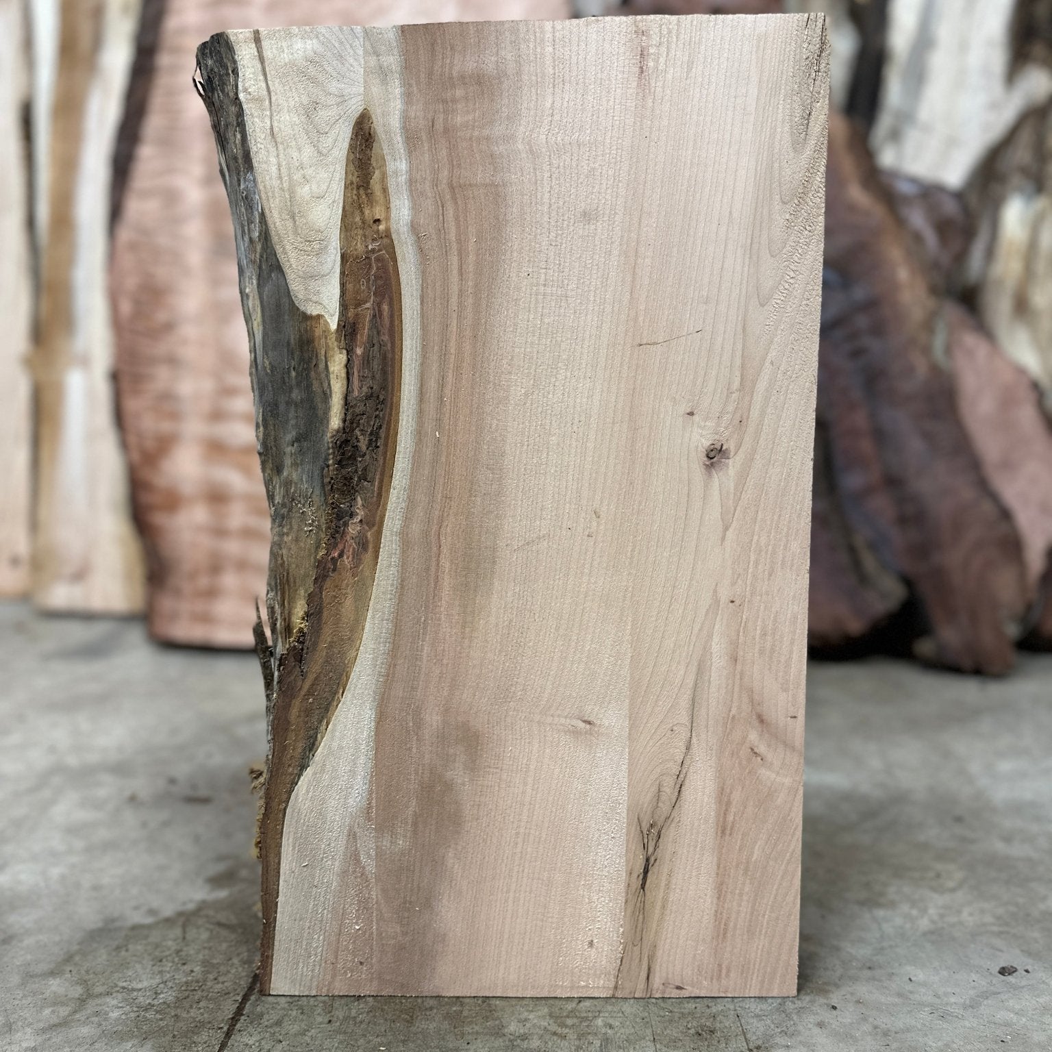 LiveEdge Big Leaf Maple | Big Leaf Maple | Hamilton Lee Supply