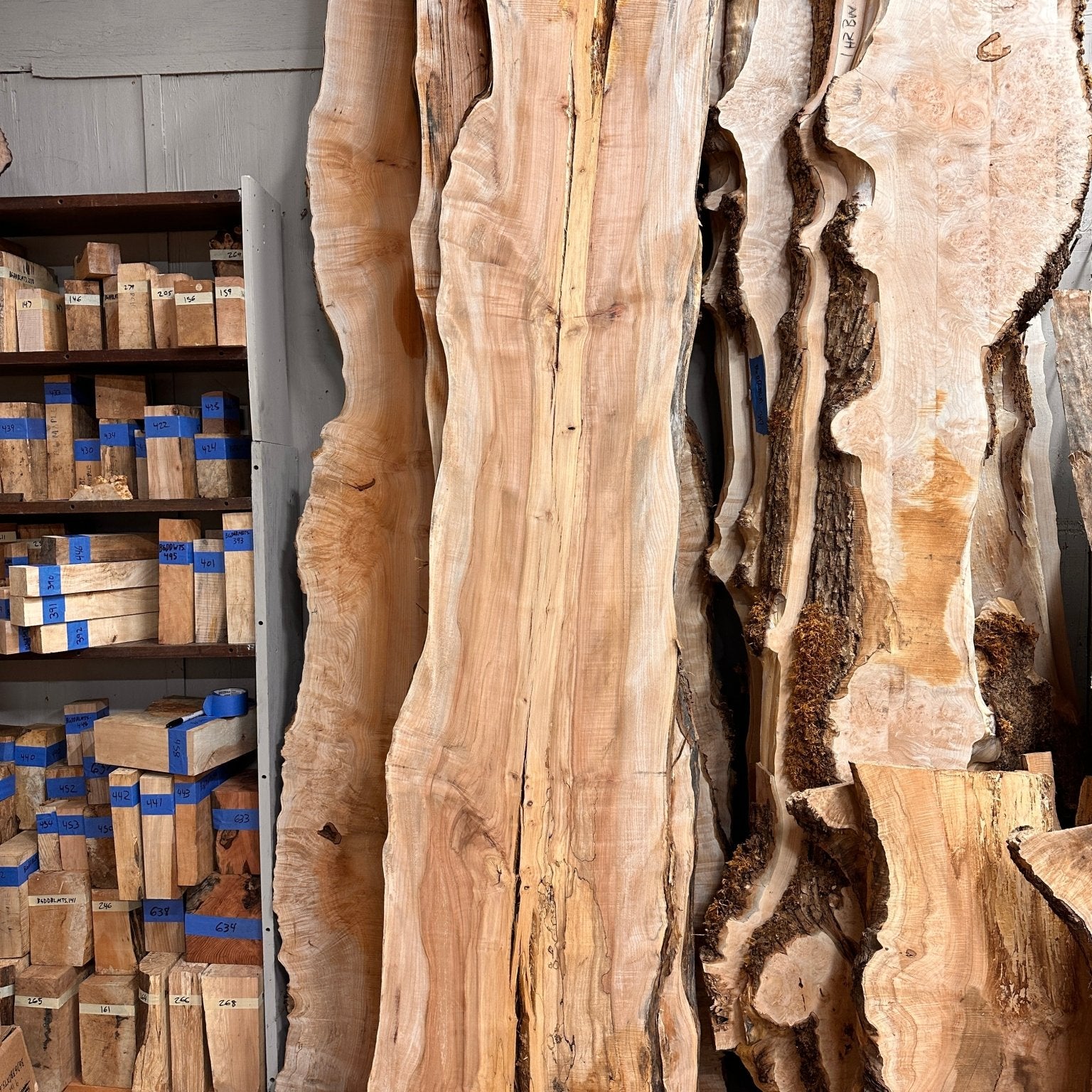 LiveEdge Big Leaf Maple | Big Leaf Maple | Hamilton Lee Supply