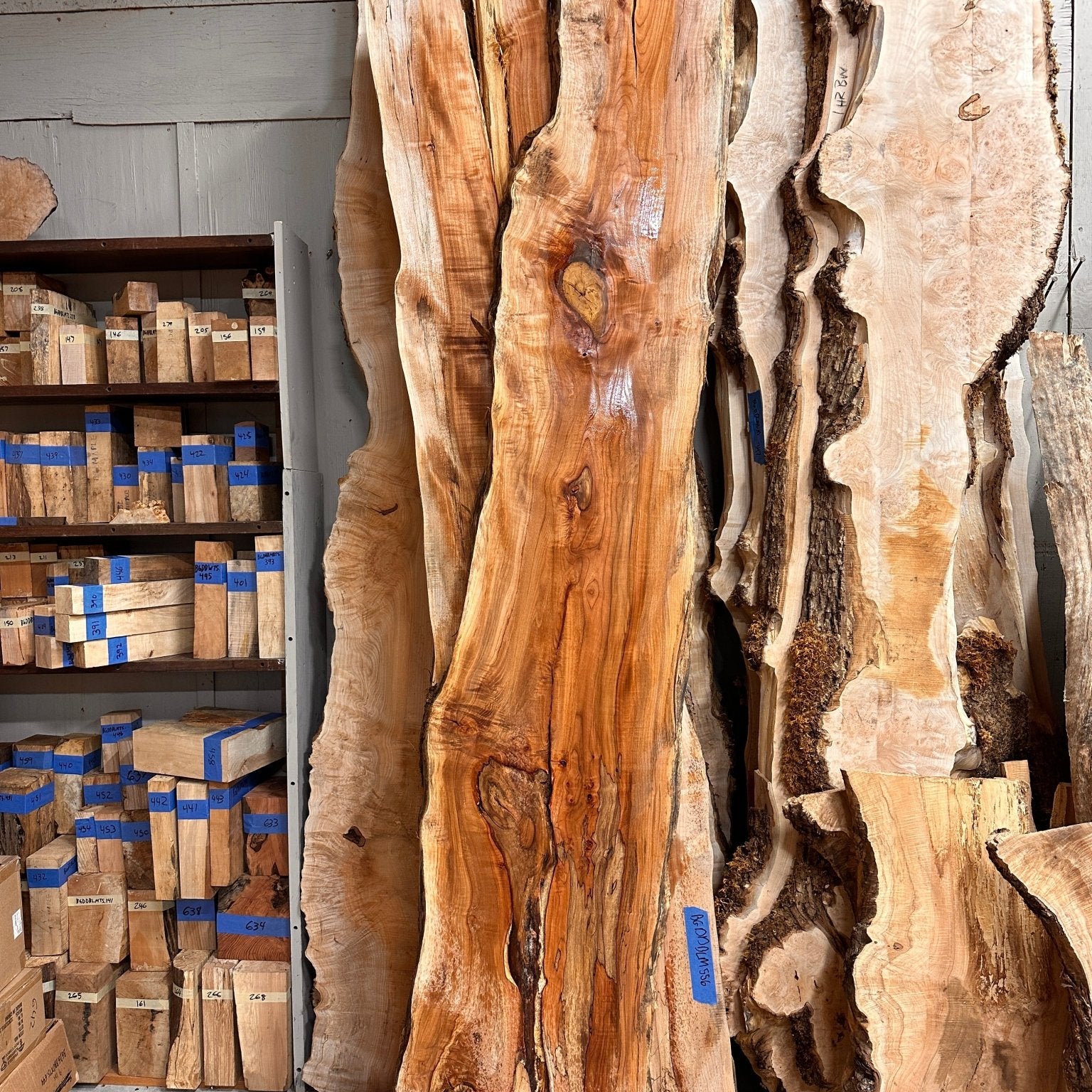 LiveEdge Big Leaf Maple | Big Leaf Maple | Hamilton Lee Supply