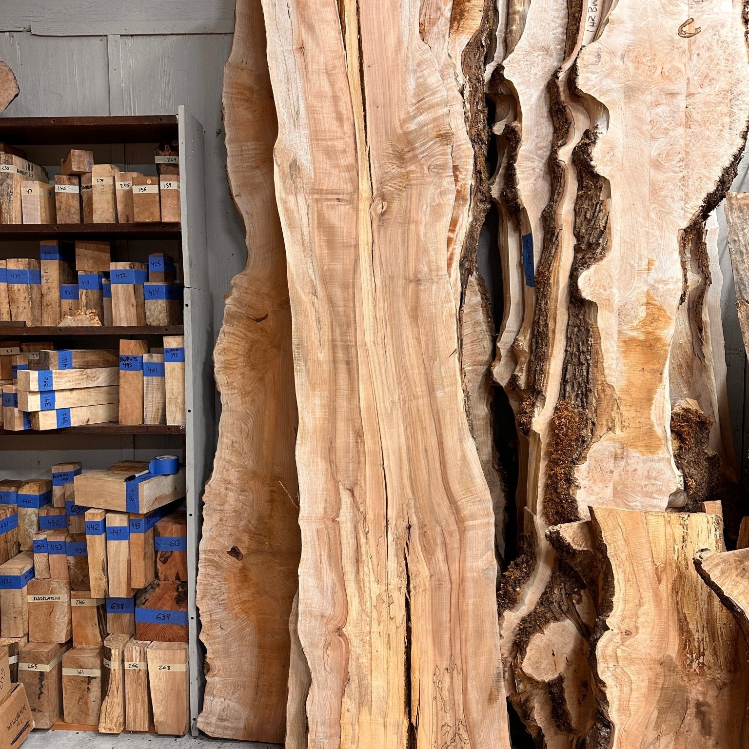 LiveEdge Big Leaf Maple | Big Leaf Maple | Hamilton Lee Supply