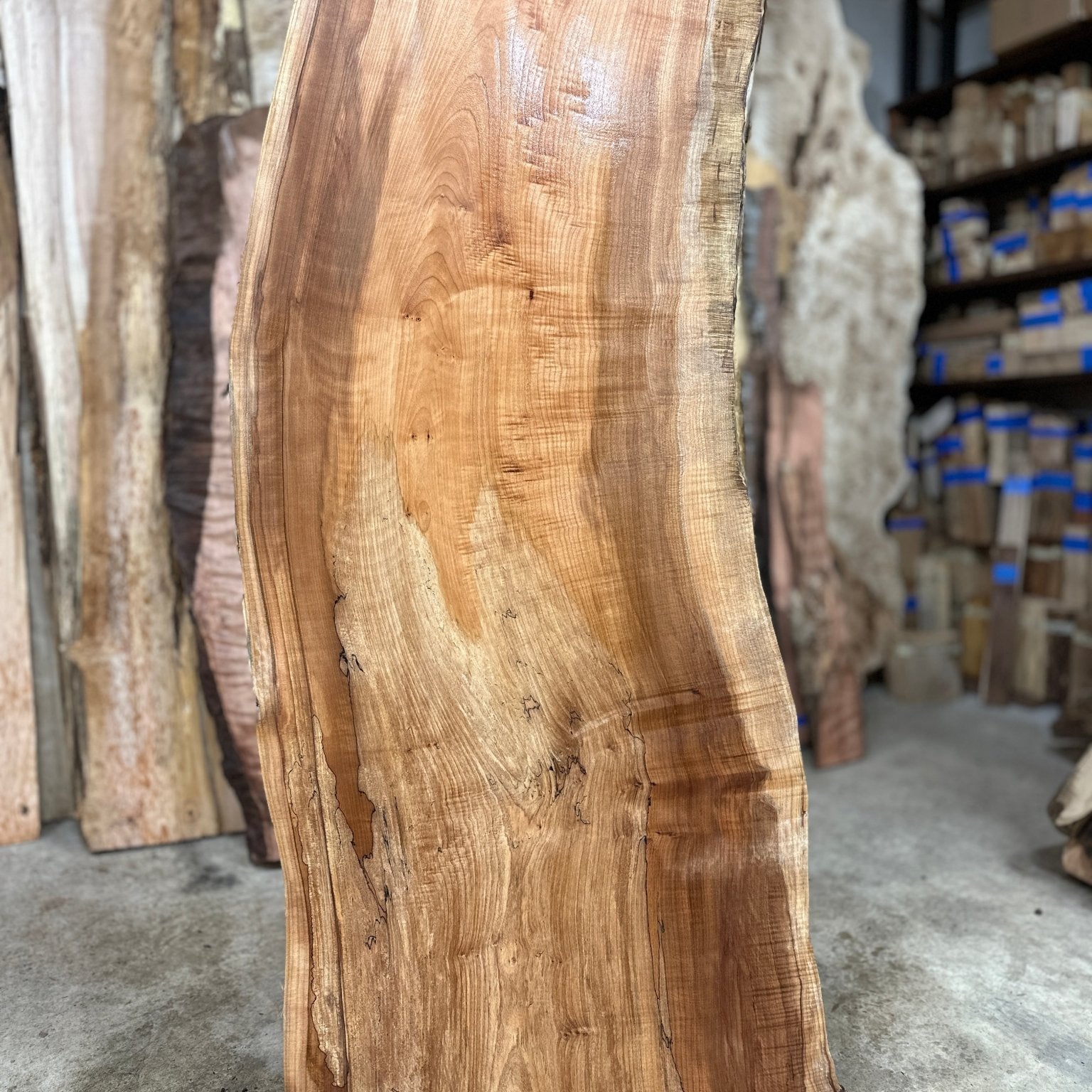 LiveEdge Big Leaf Maple | Big Leaf Maple | Hamilton Lee Supply